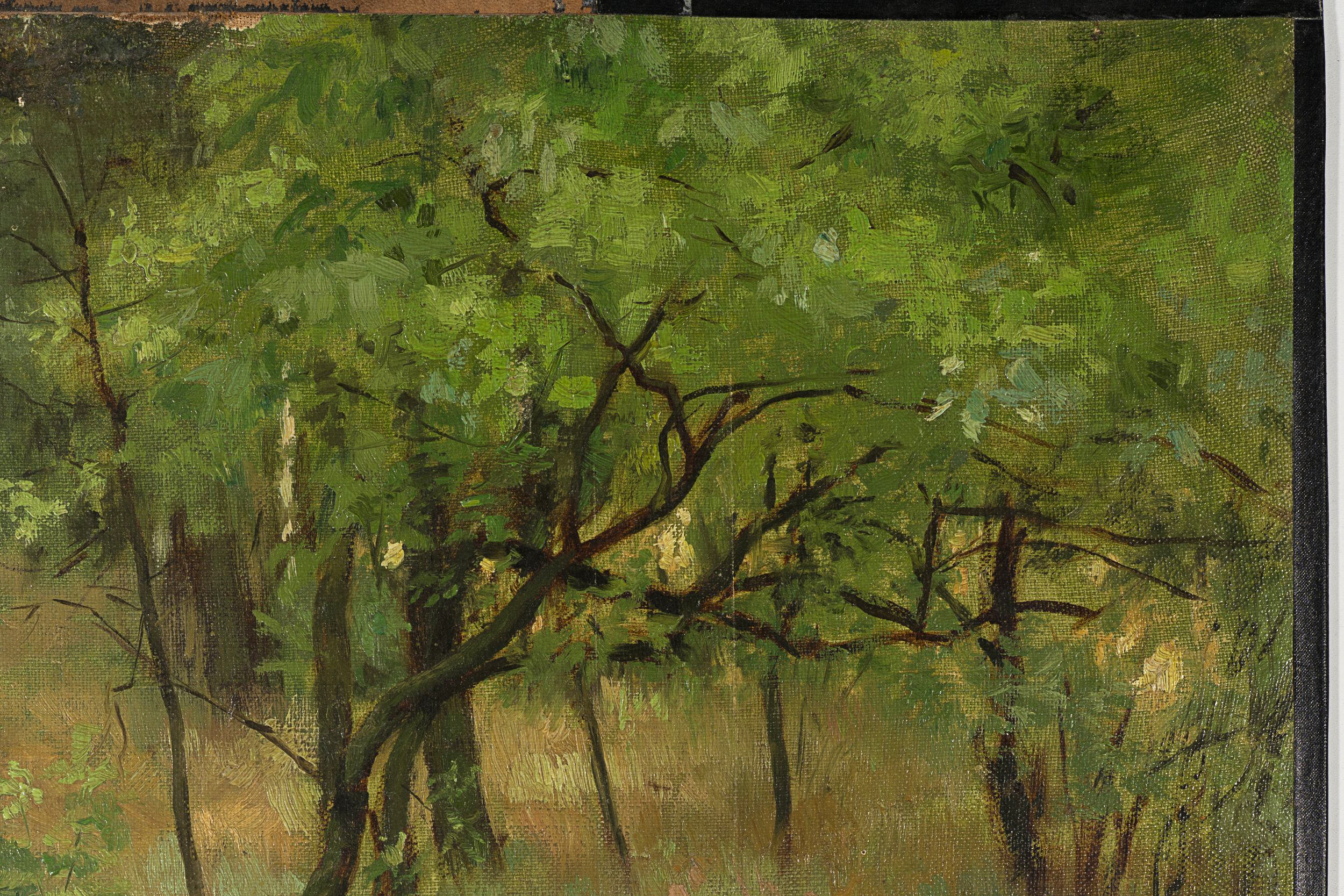 Waldlichtung im Sommer