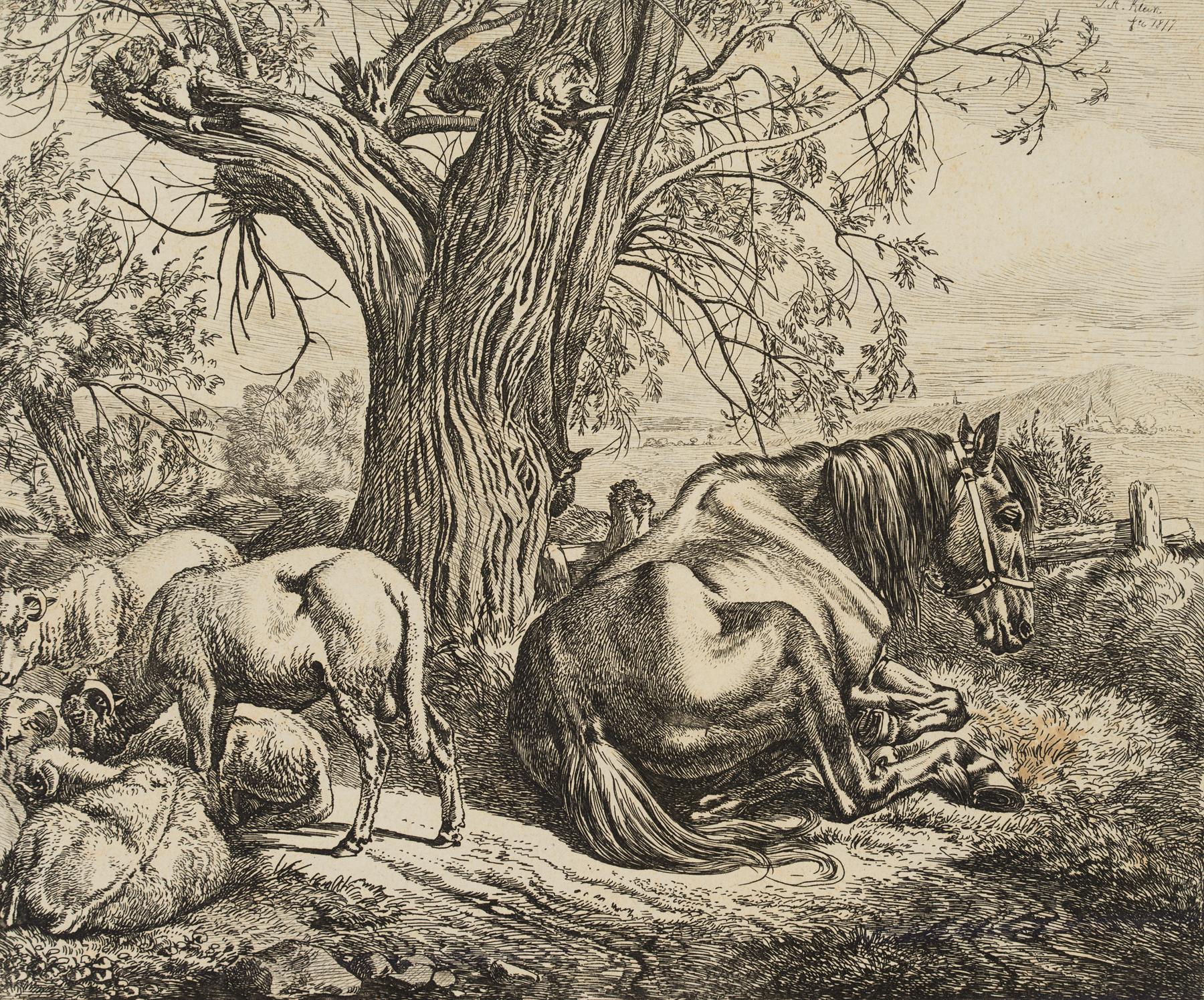 Das Pferd am Weidenbaum