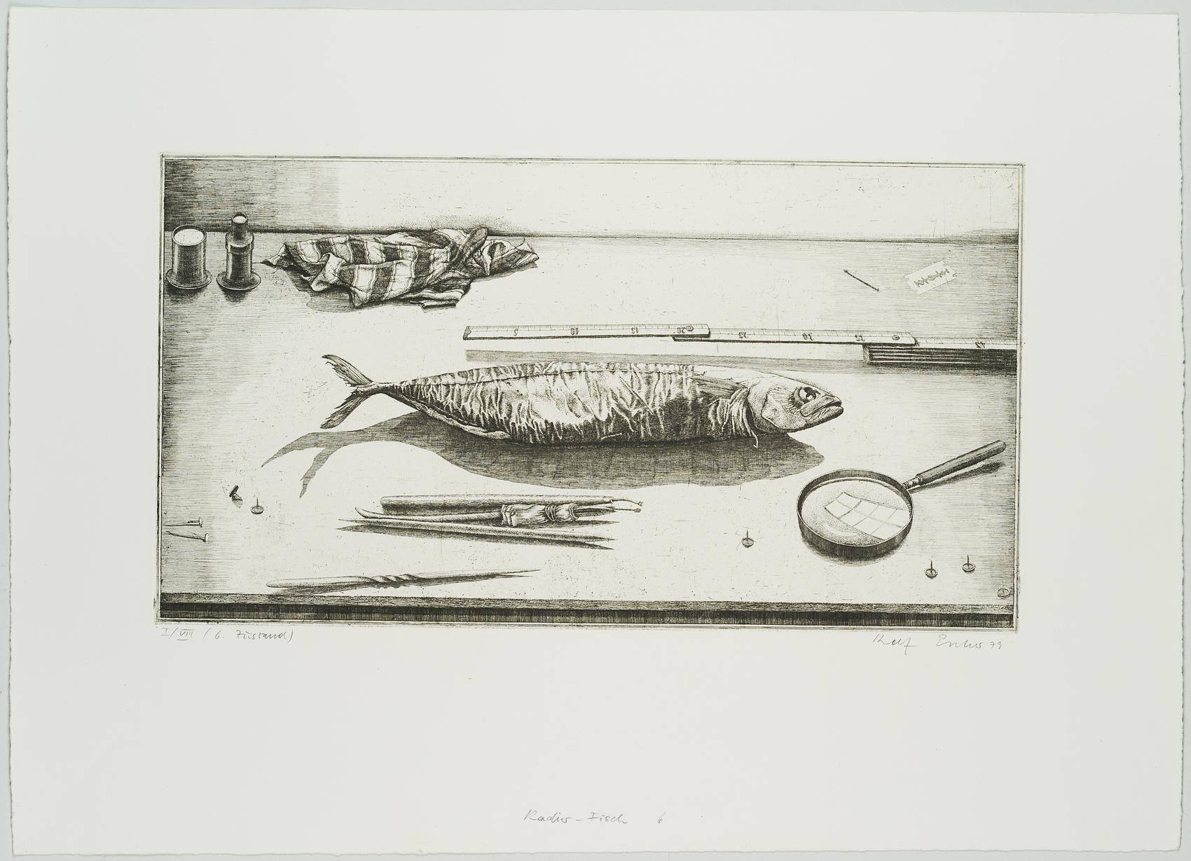 Radierfisch, 6. Zustand