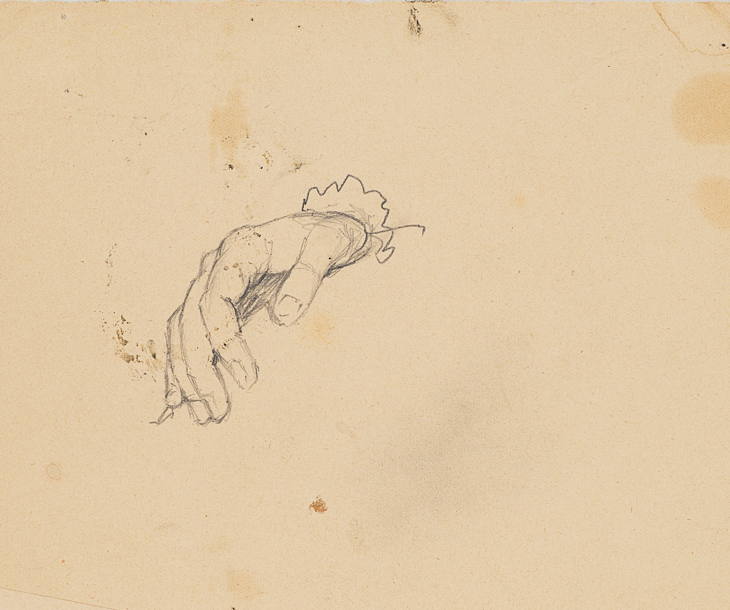 Studie einer Hand