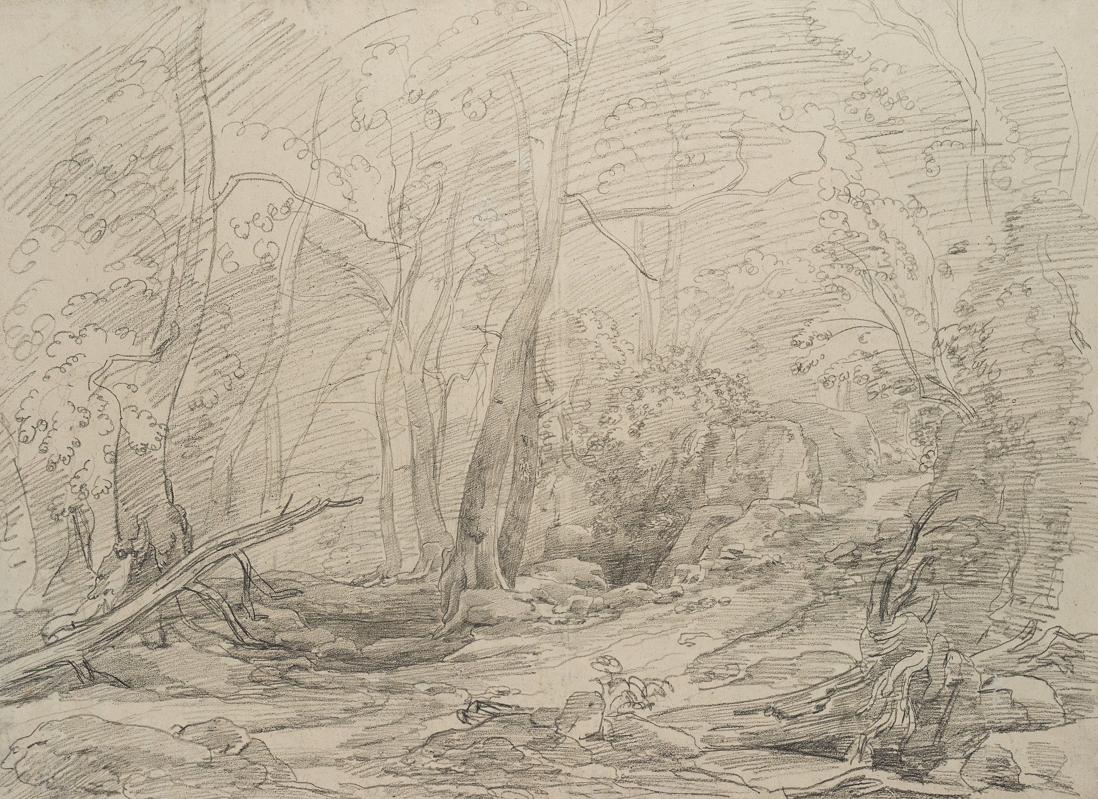 Waldlandschaft mit gewundenem Weg im Chigi-Park in Ariccia