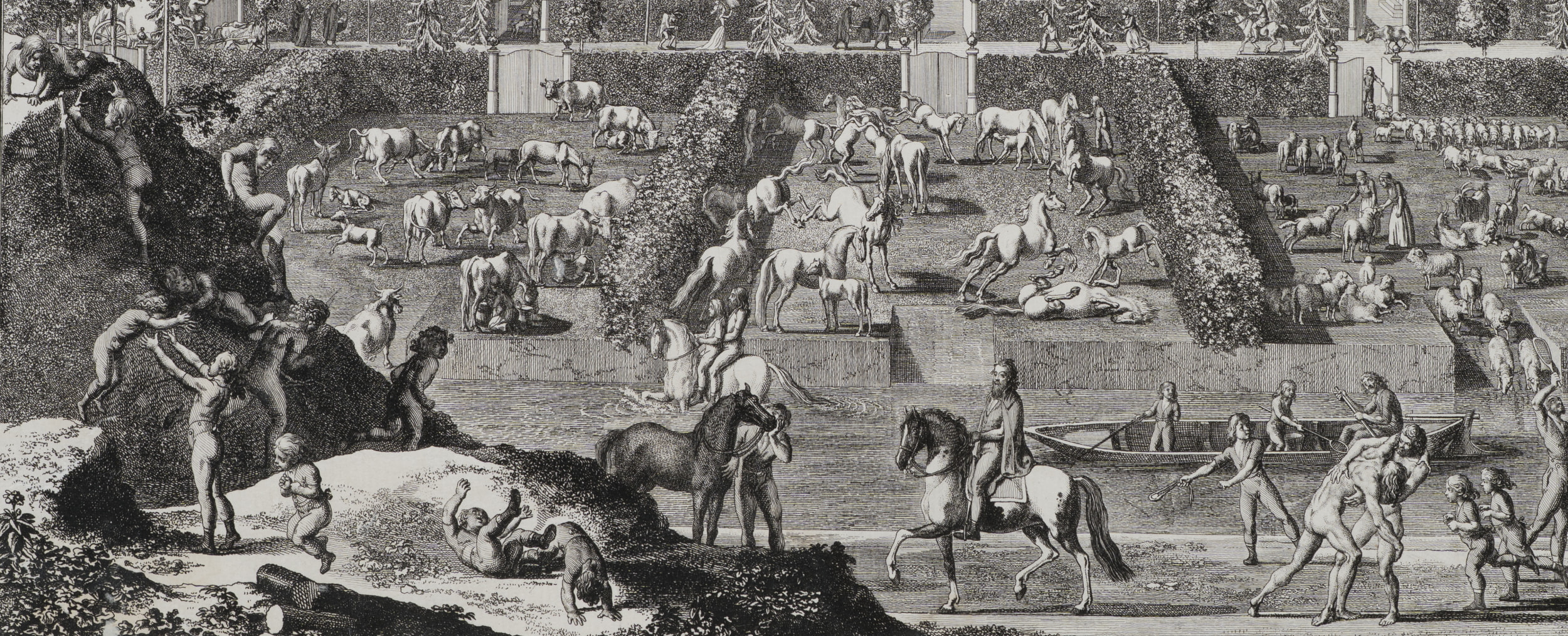 Die Kolonie