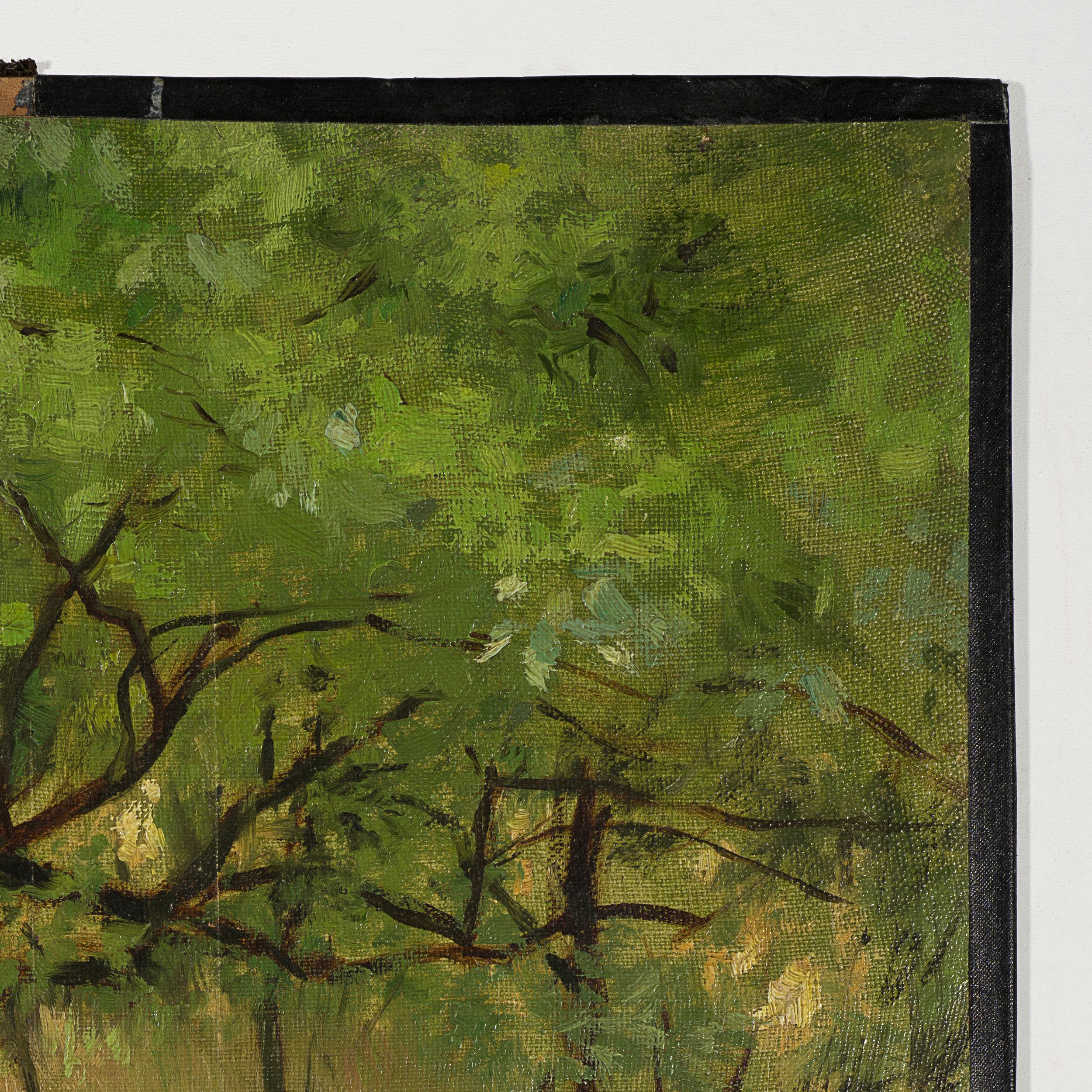 Waldlichtung im Sommer