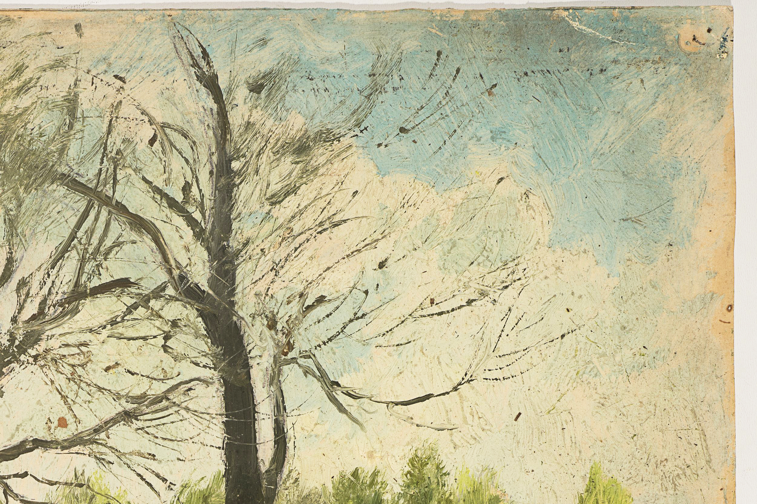 Baumlandschaft im Frühling