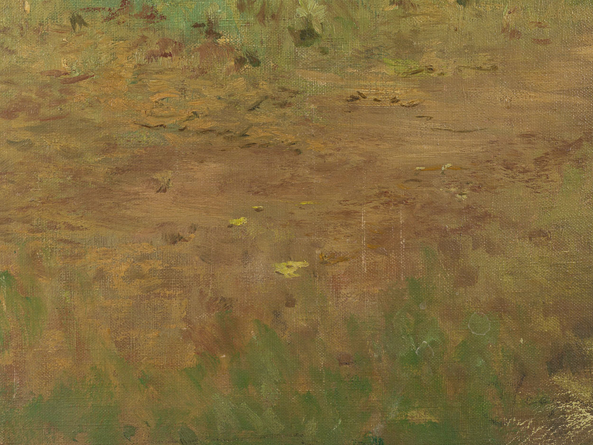 Waldlichtung im Sommer