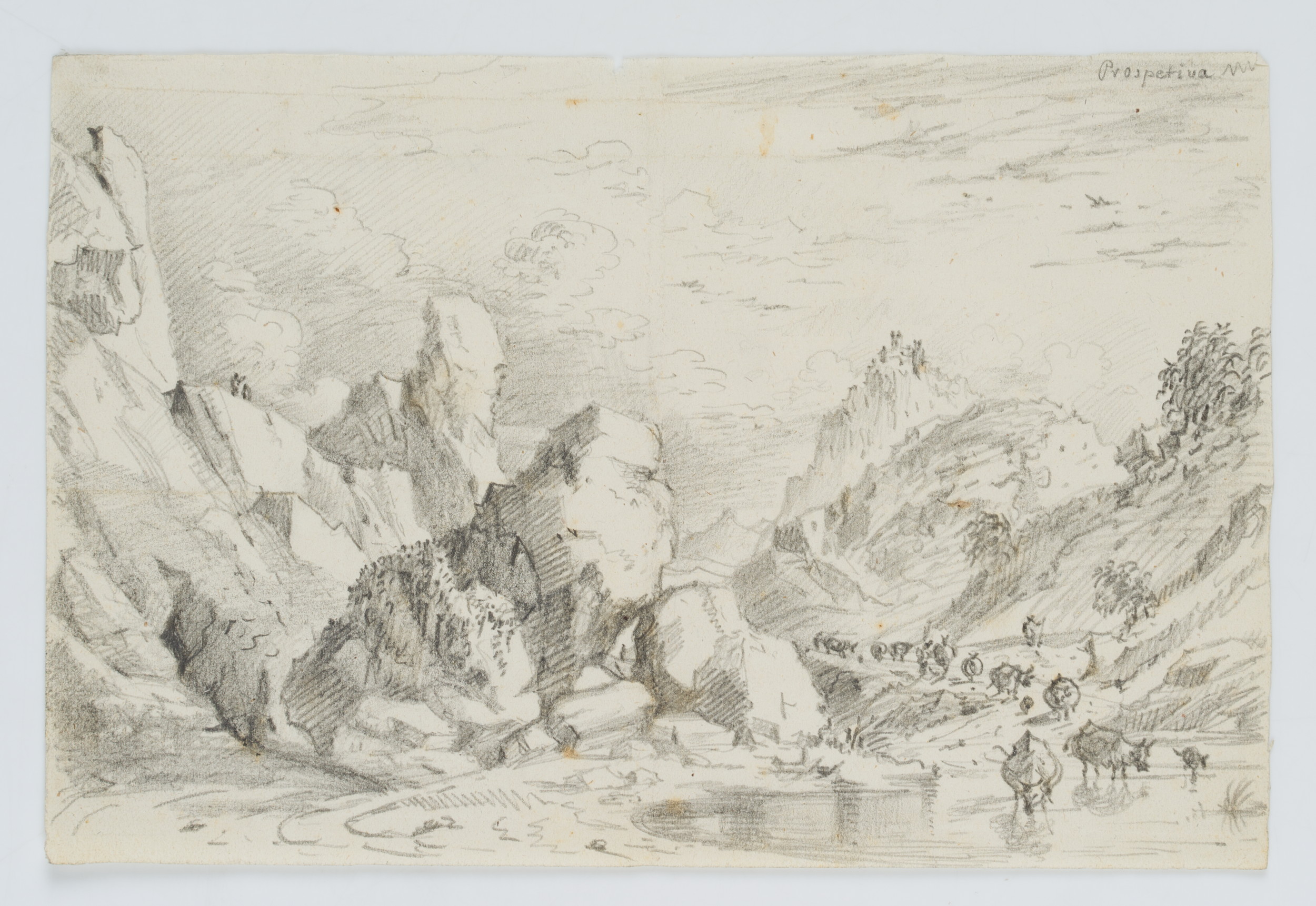 Felsige Landschaft mit Viehherde