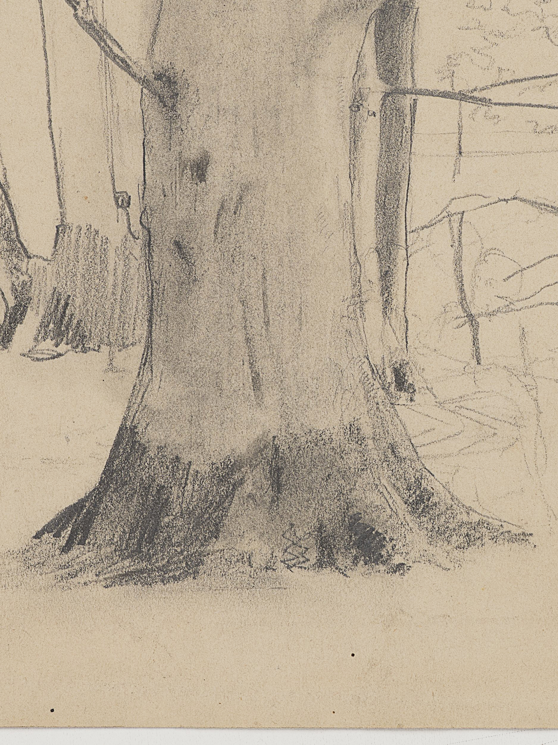 Studie eines breiten Baums