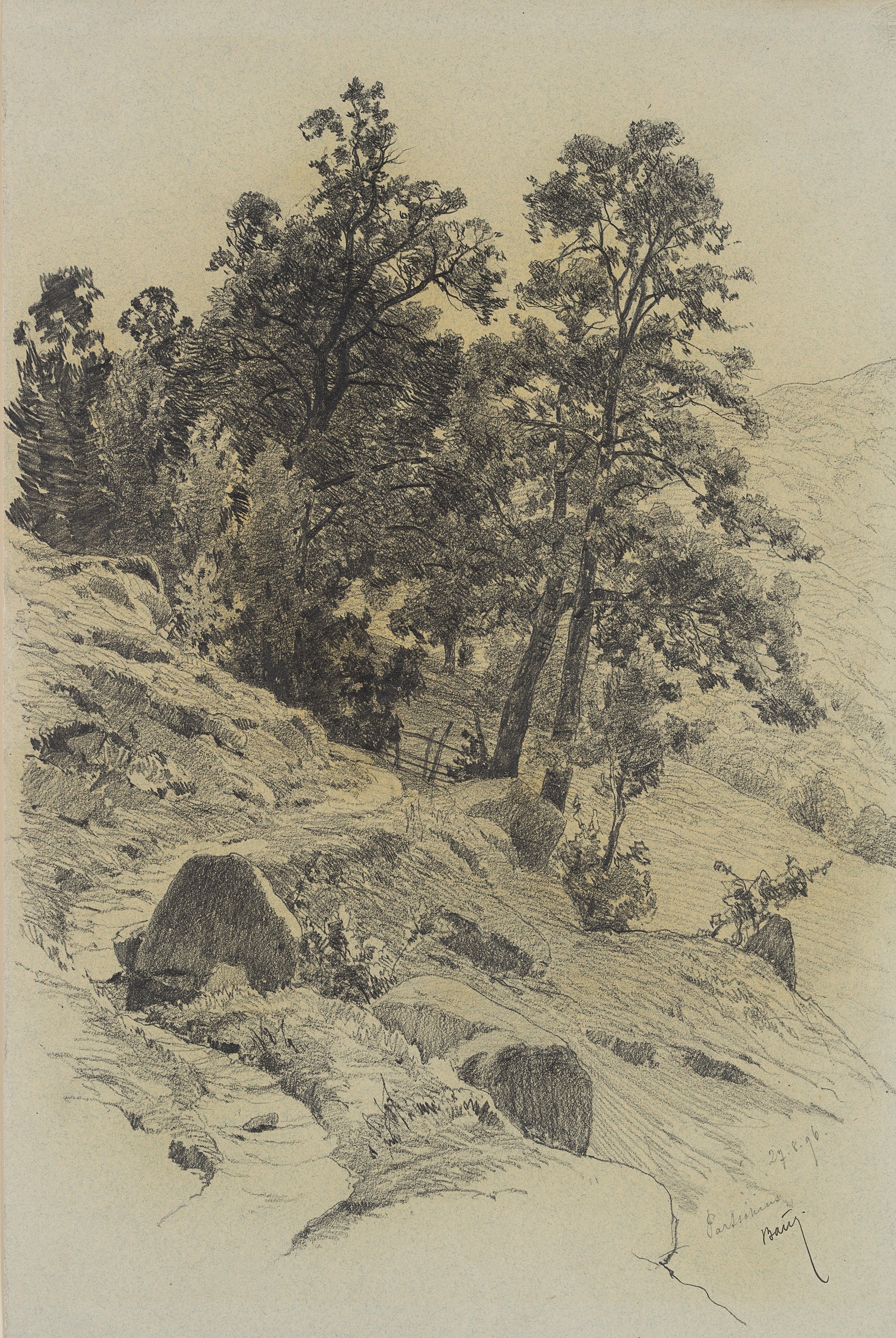 Hirtenpfad in Südtiroler Berglandschaft