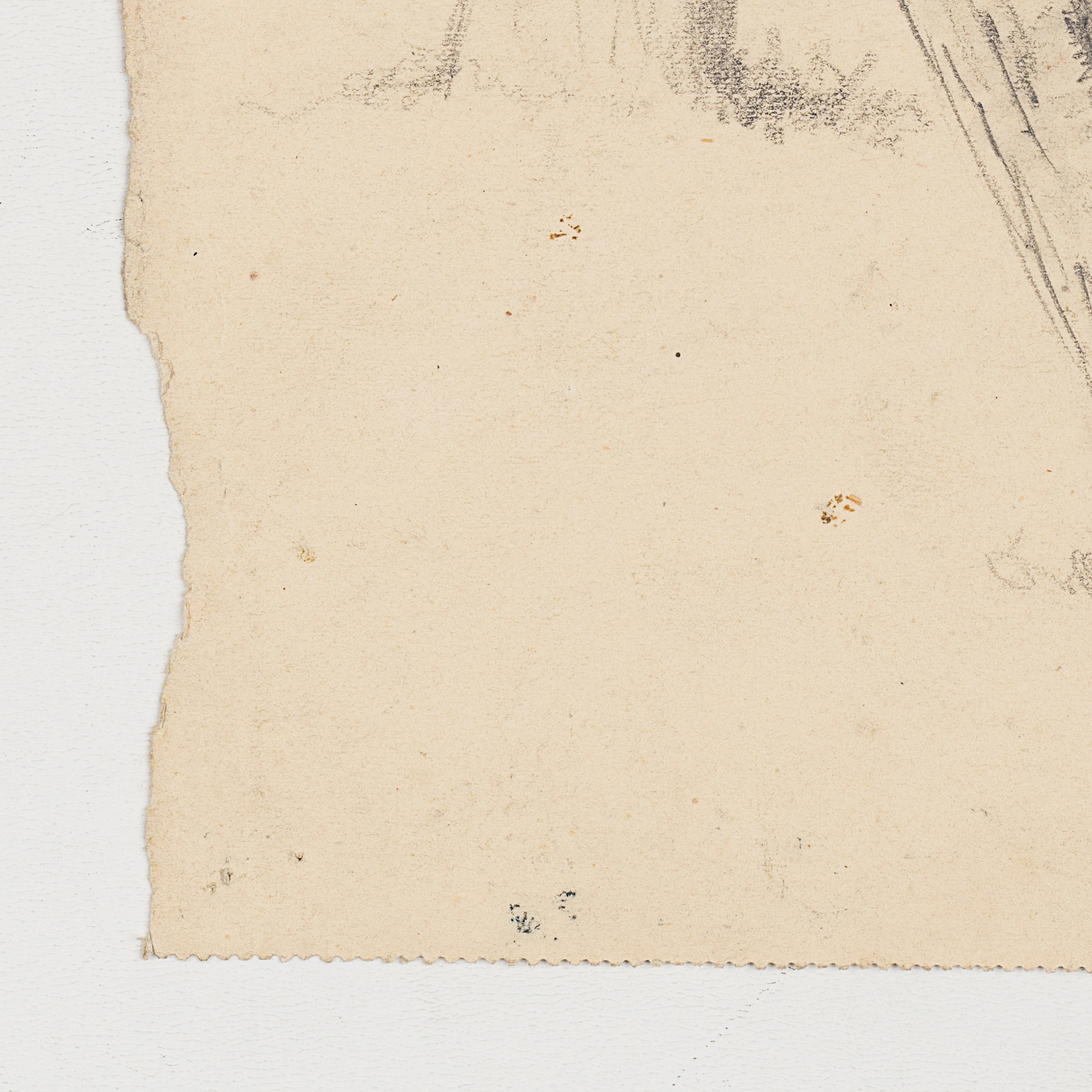 Studie eines alten Baumstammes