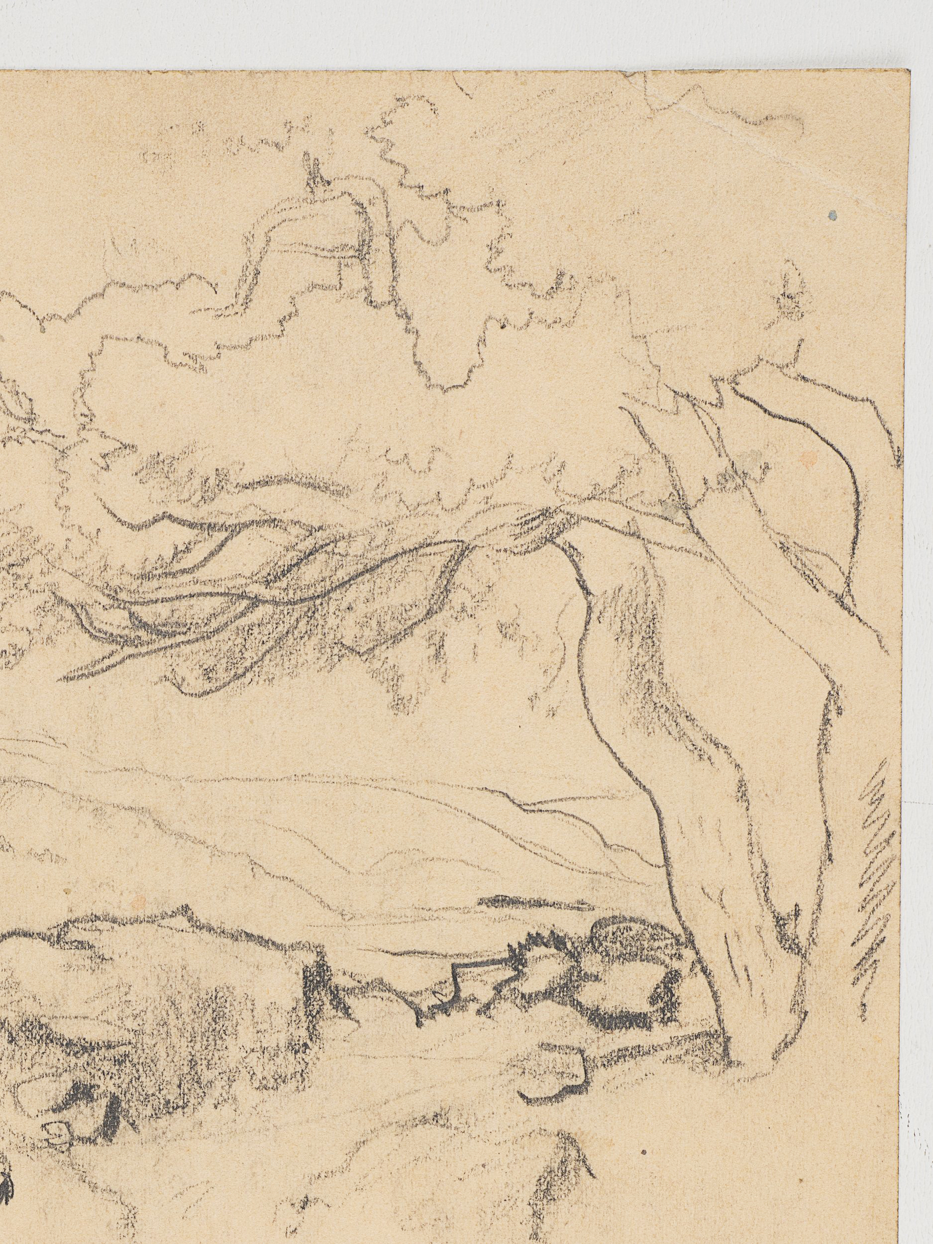 Landschaftsstudie mit Baum und Felsen