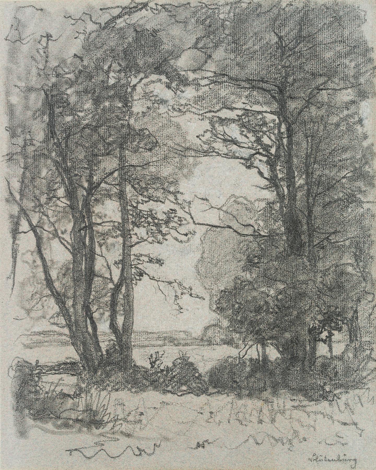 Auwald der Würm bei Blutenburg