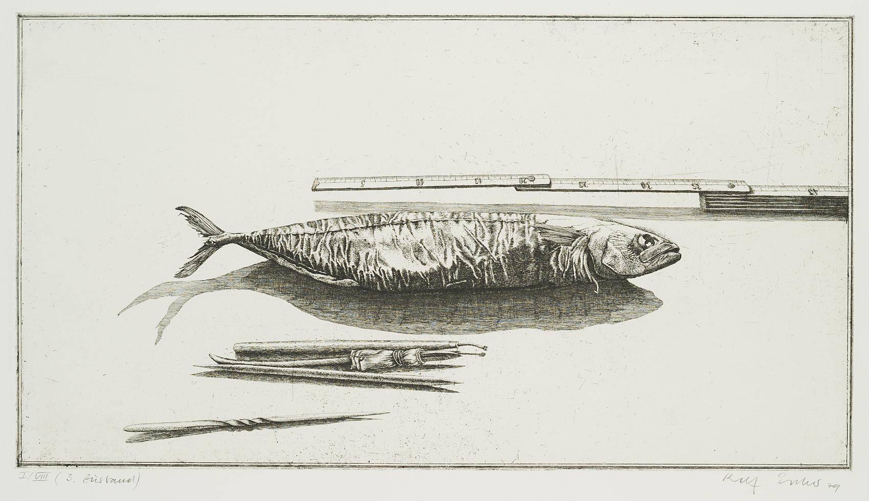 Radierfisch, 3. Zustand