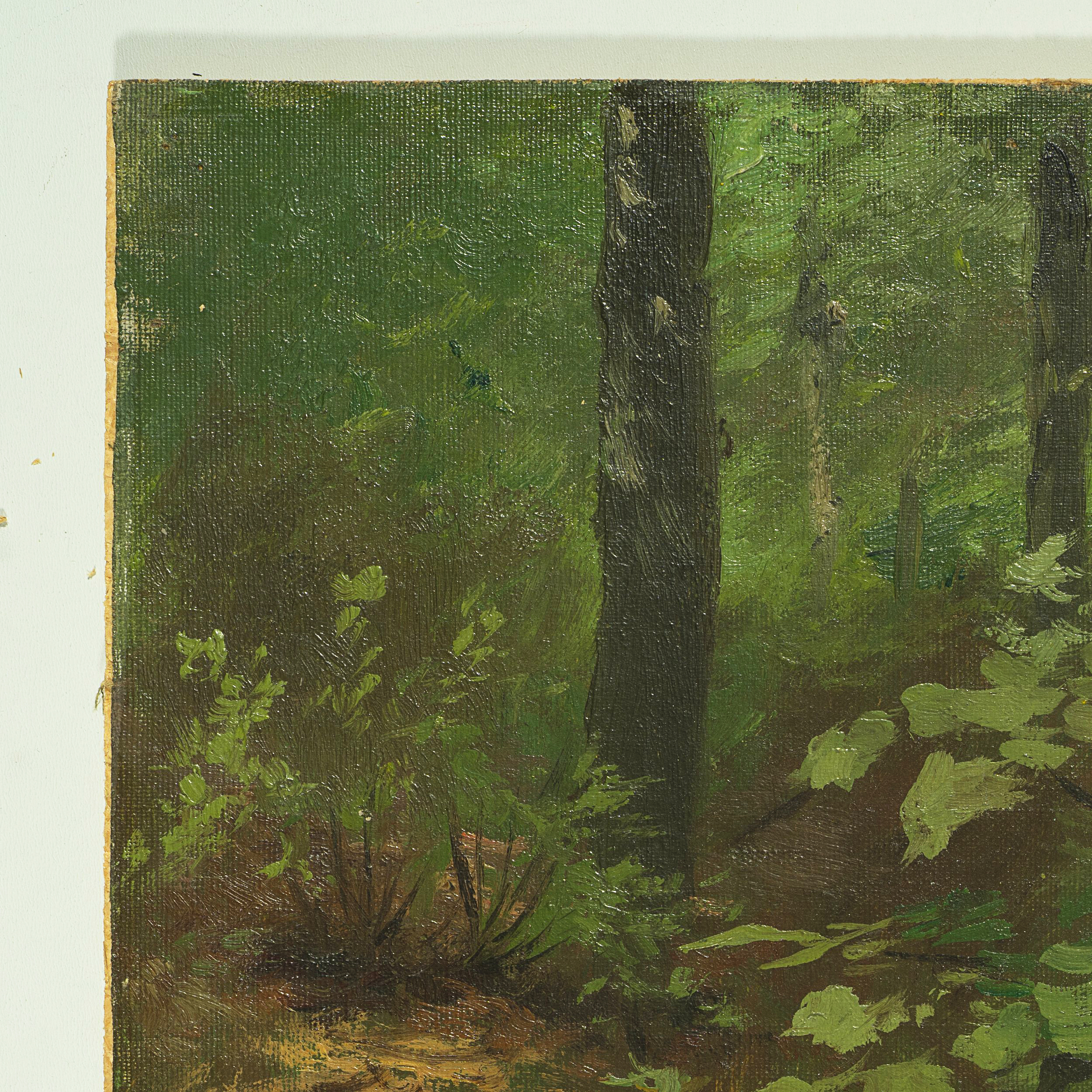 Waldbodenstrauch im Sommerwald