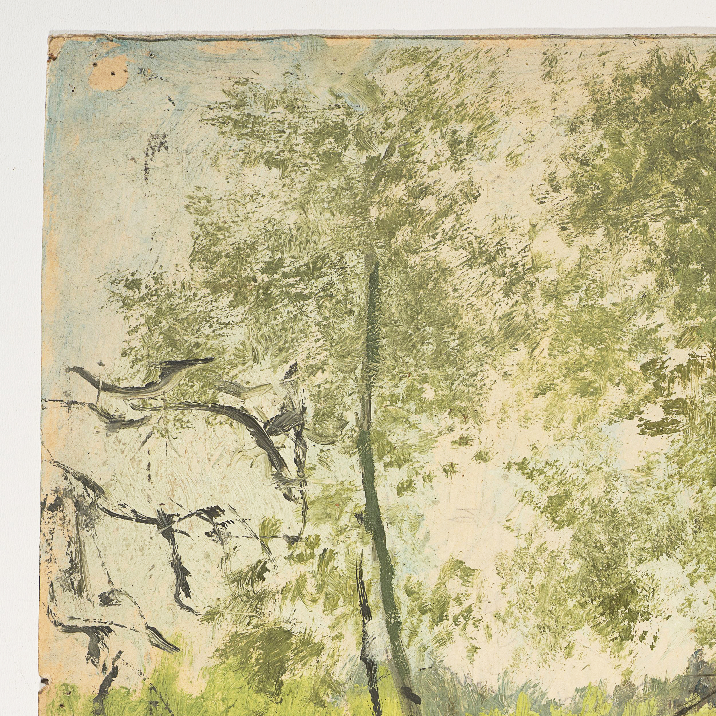 Baumlandschaft im Frühling