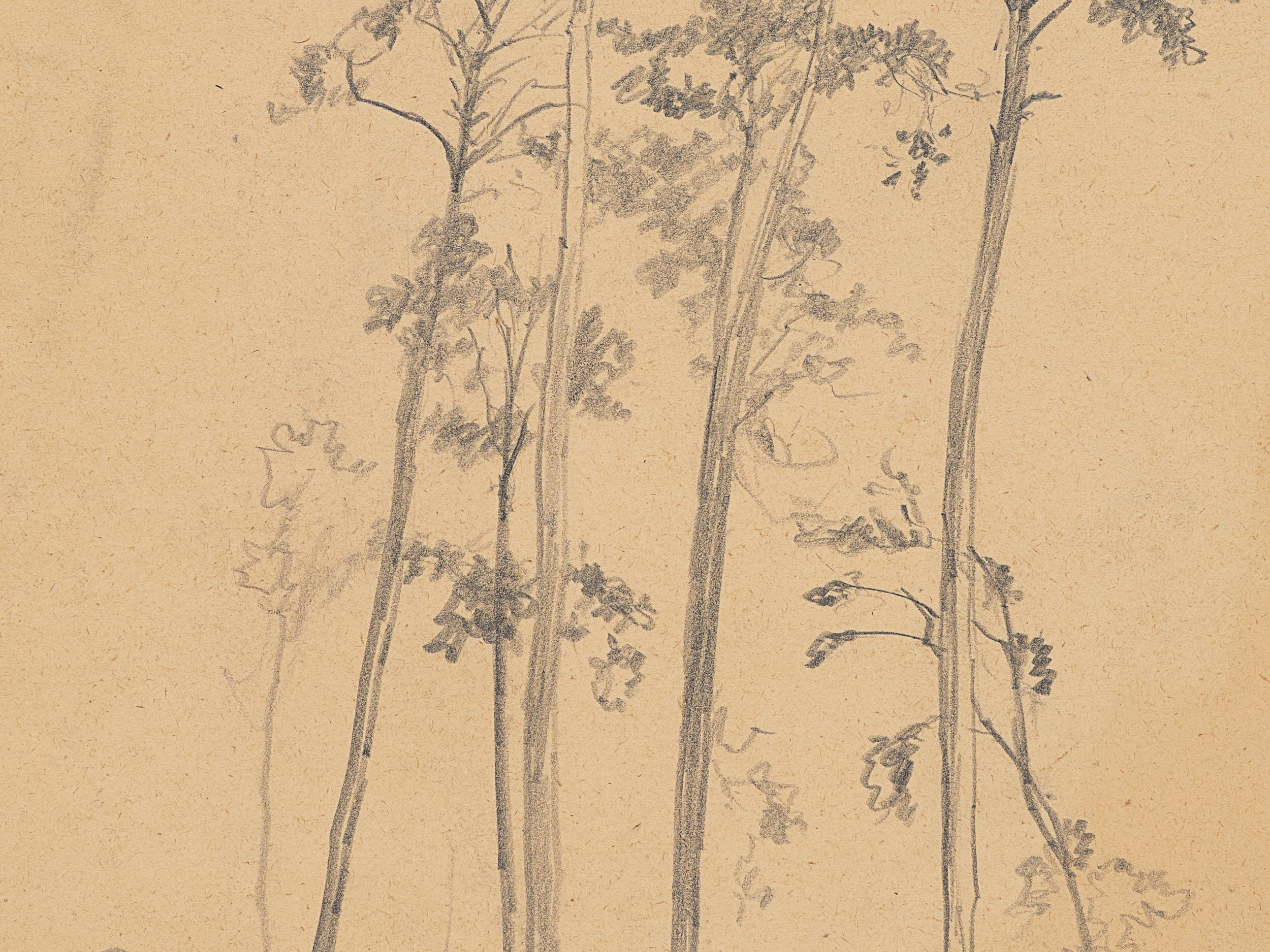 Baumgruppe, Studie