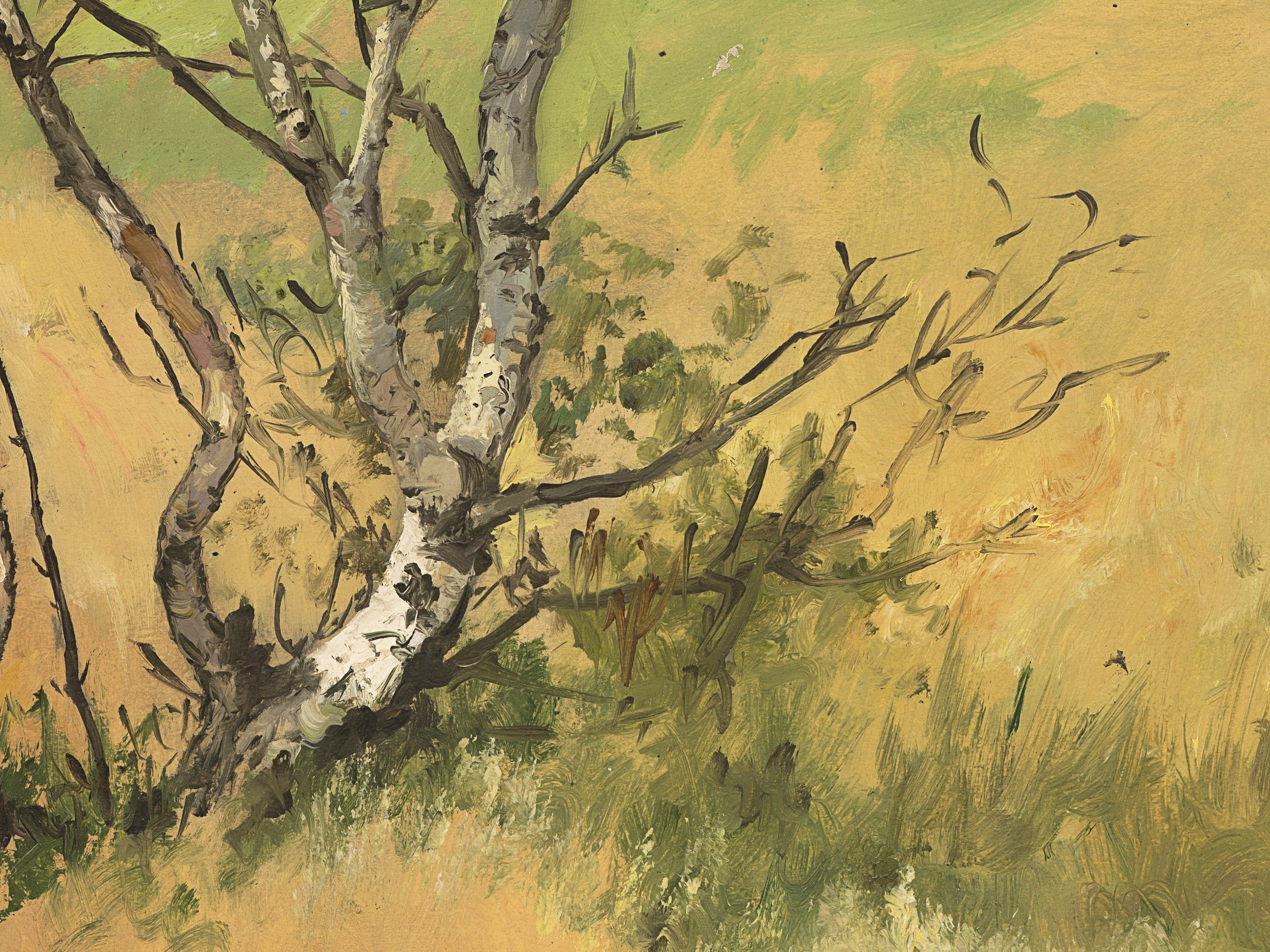 Baumgruppe in sommerlicher Landschaft