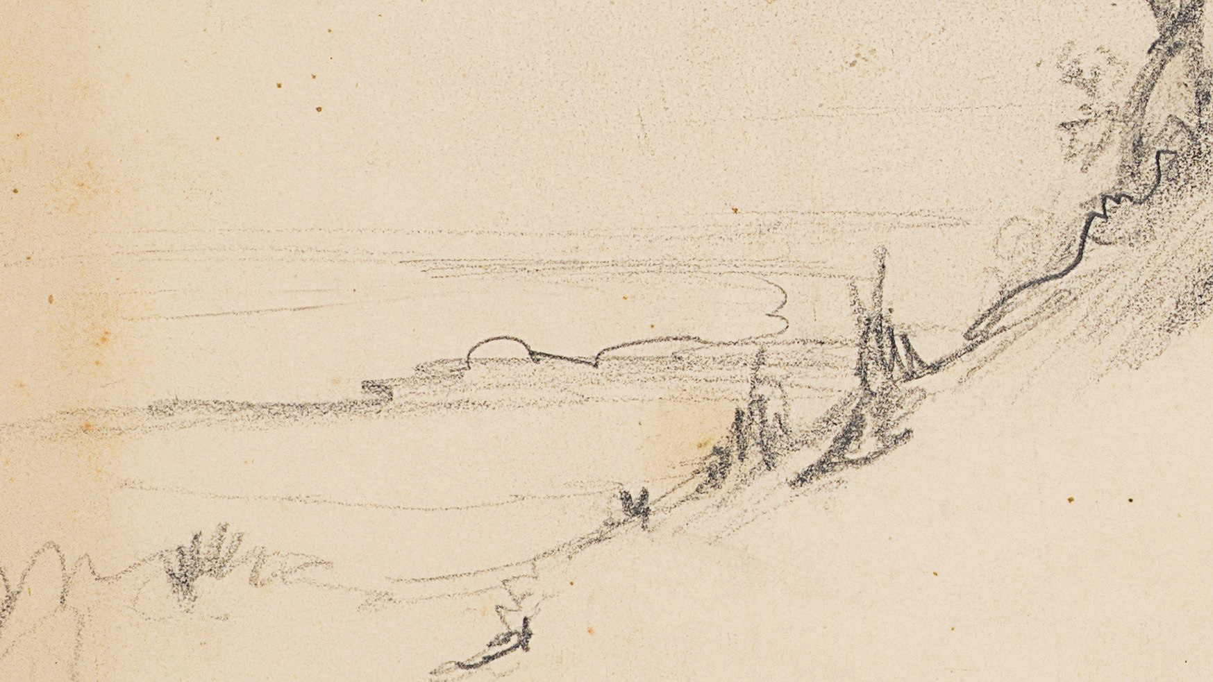 Studie bewachsener Dünen mit Blick auf Meer