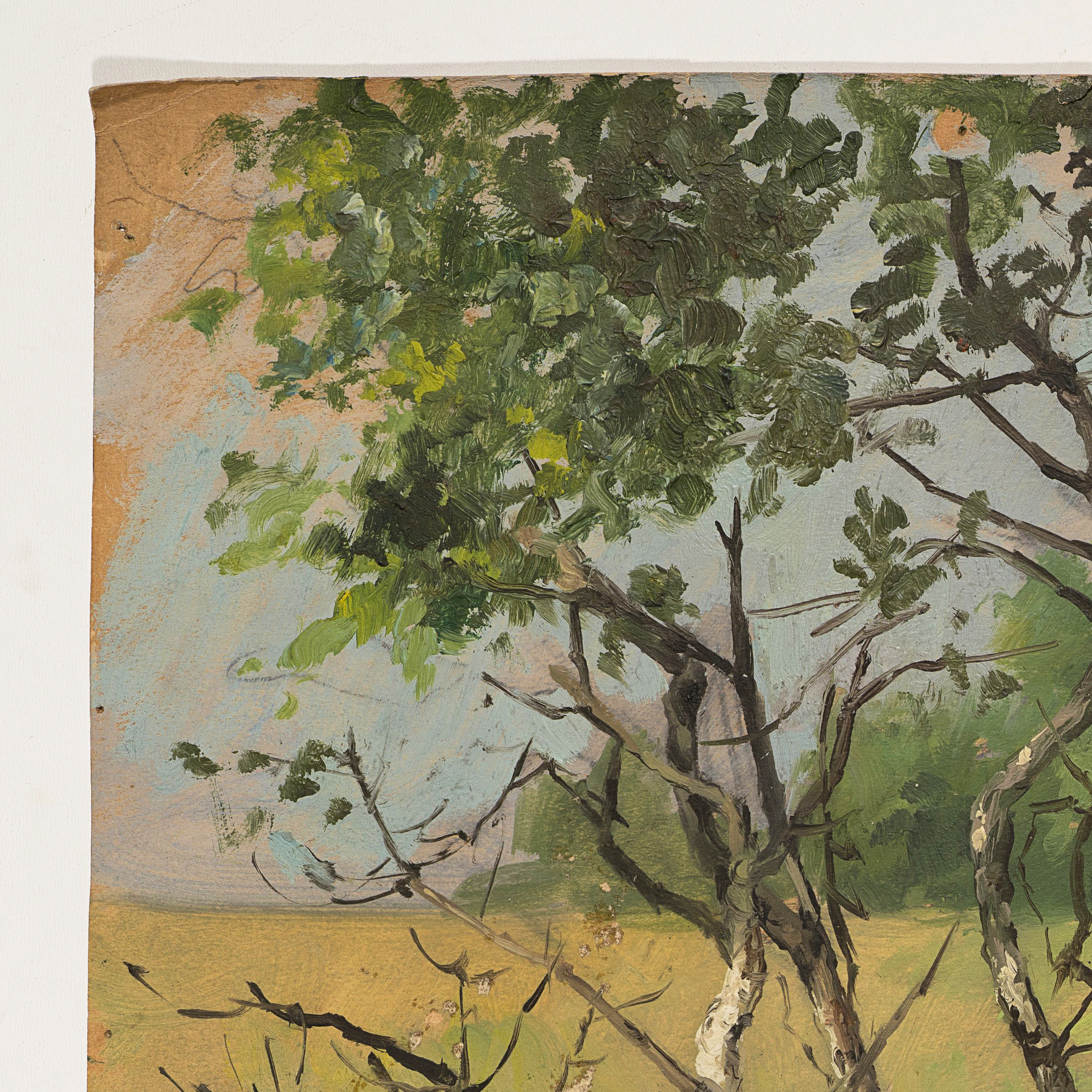 Baumgruppe in sommerlicher Landschaft
