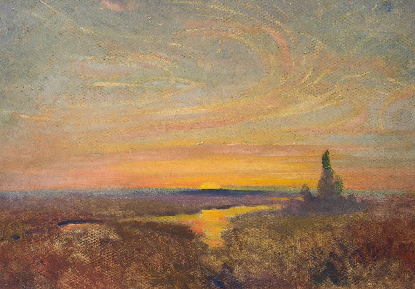 Niederdeutsche Heide im Sonnenuntergang