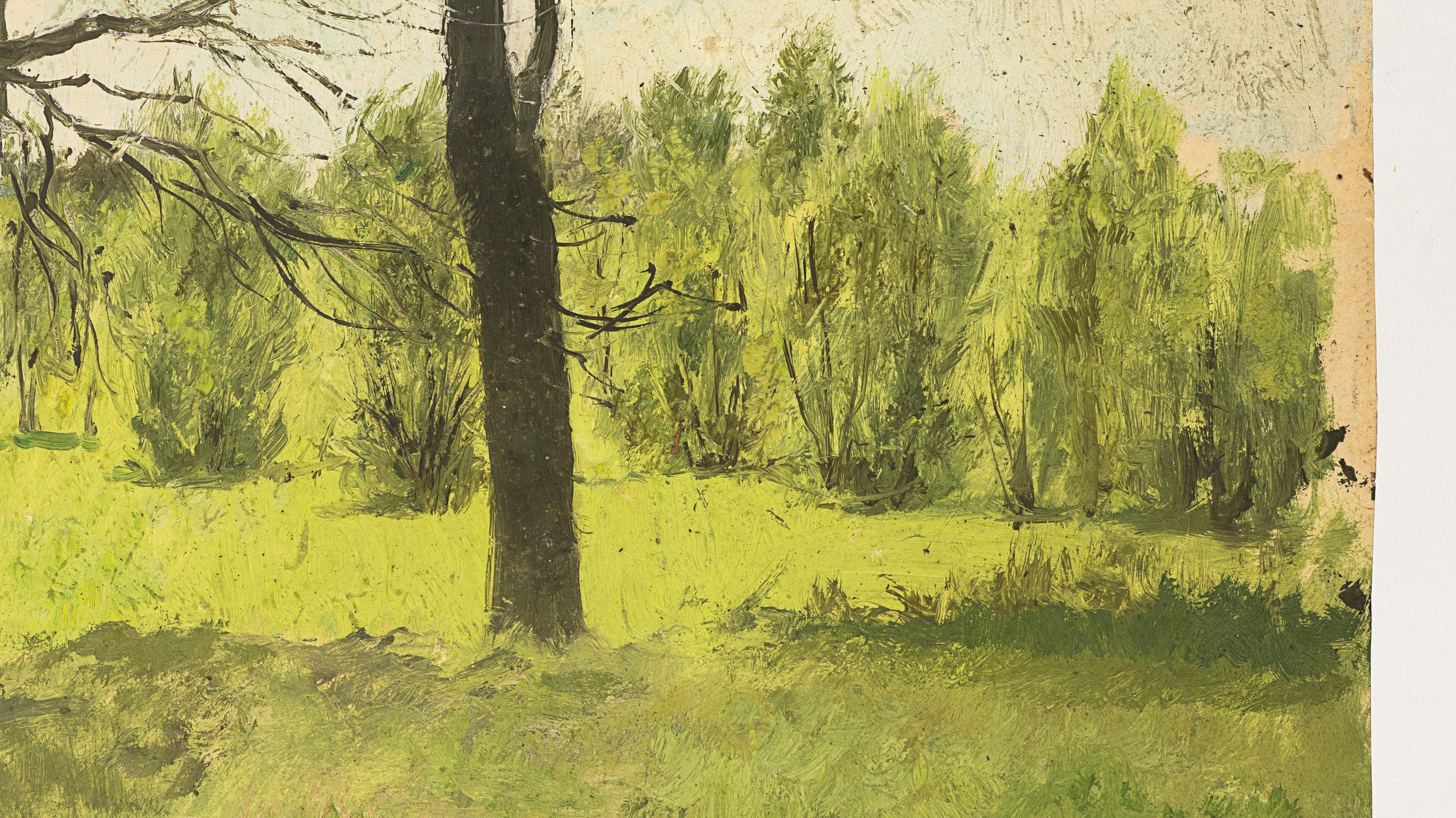 Baumlandschaft im Frühling