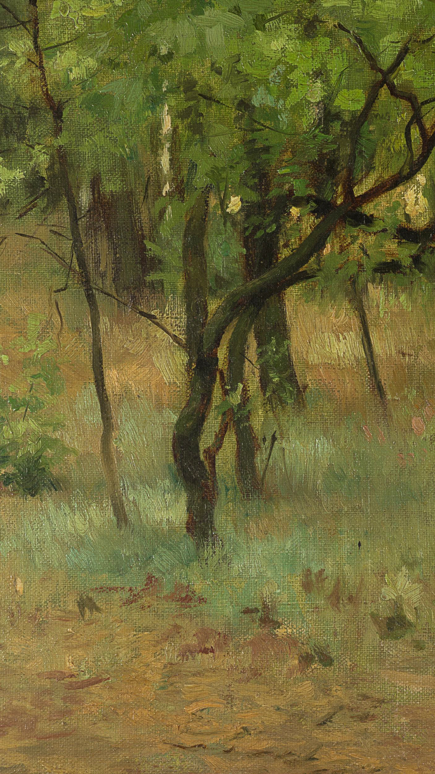 Waldlichtung im Sommer