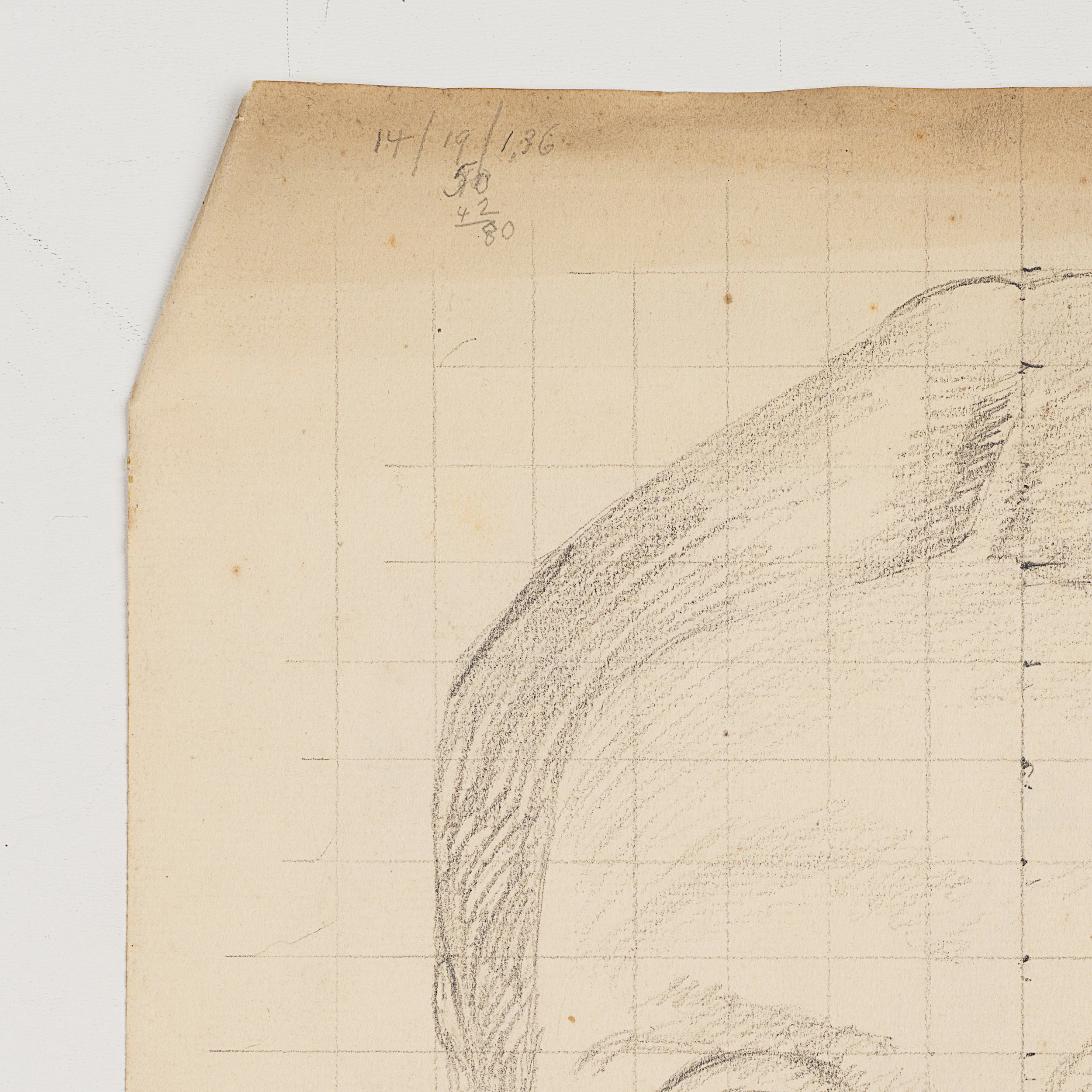 Weibliches Porträt, Studie