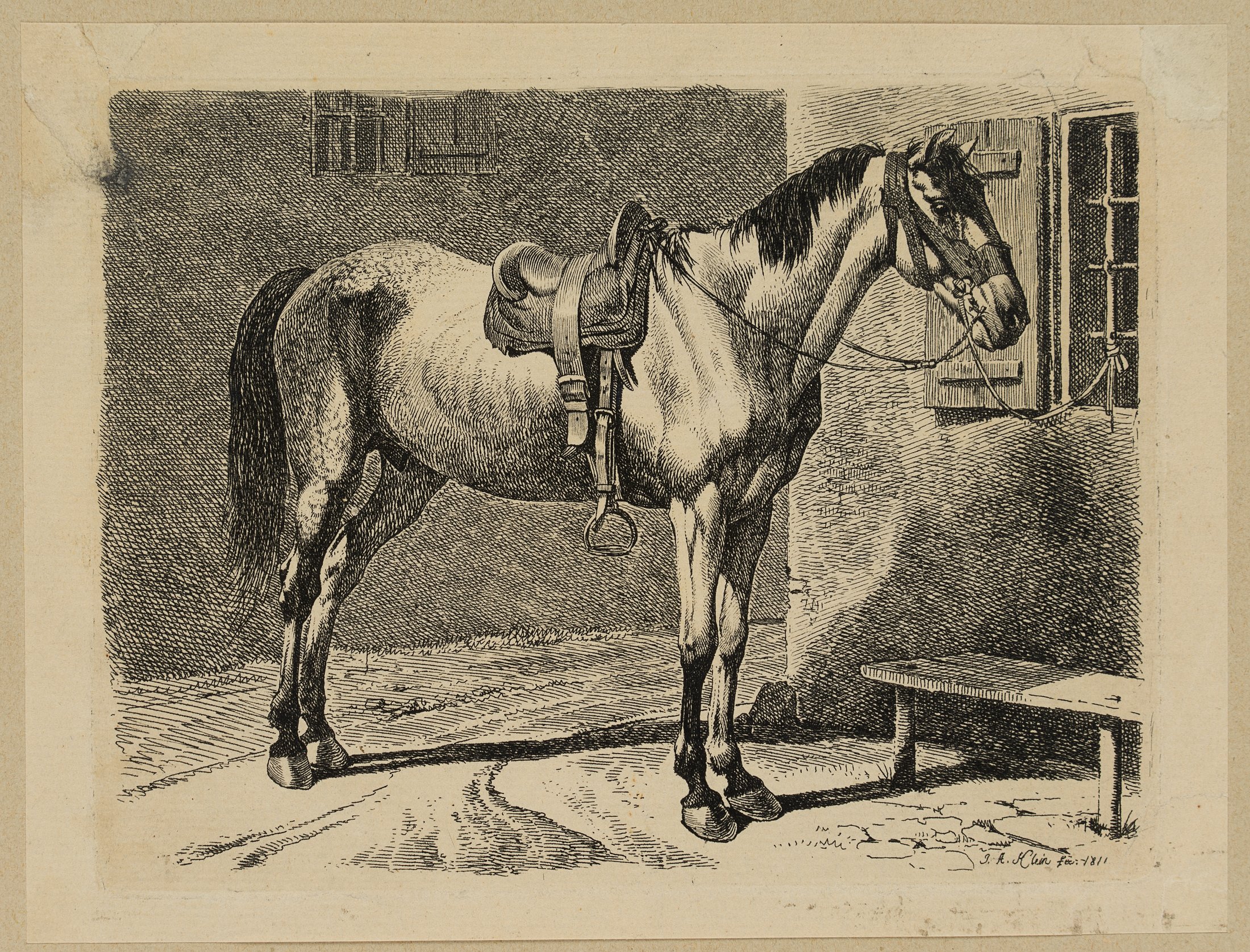 Das Bauernpferd am Fenstergitter