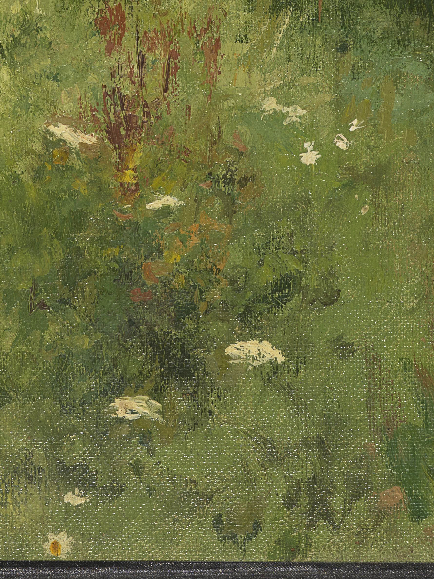 Sommerliche Wildblumenwiese
