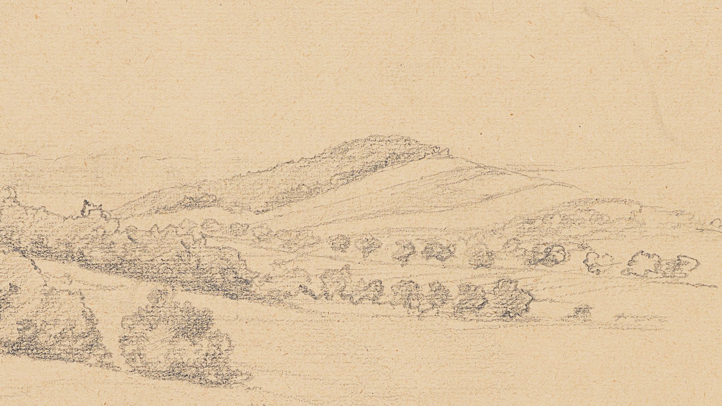 Landschaftsstudie mit Feldern und Bäumen