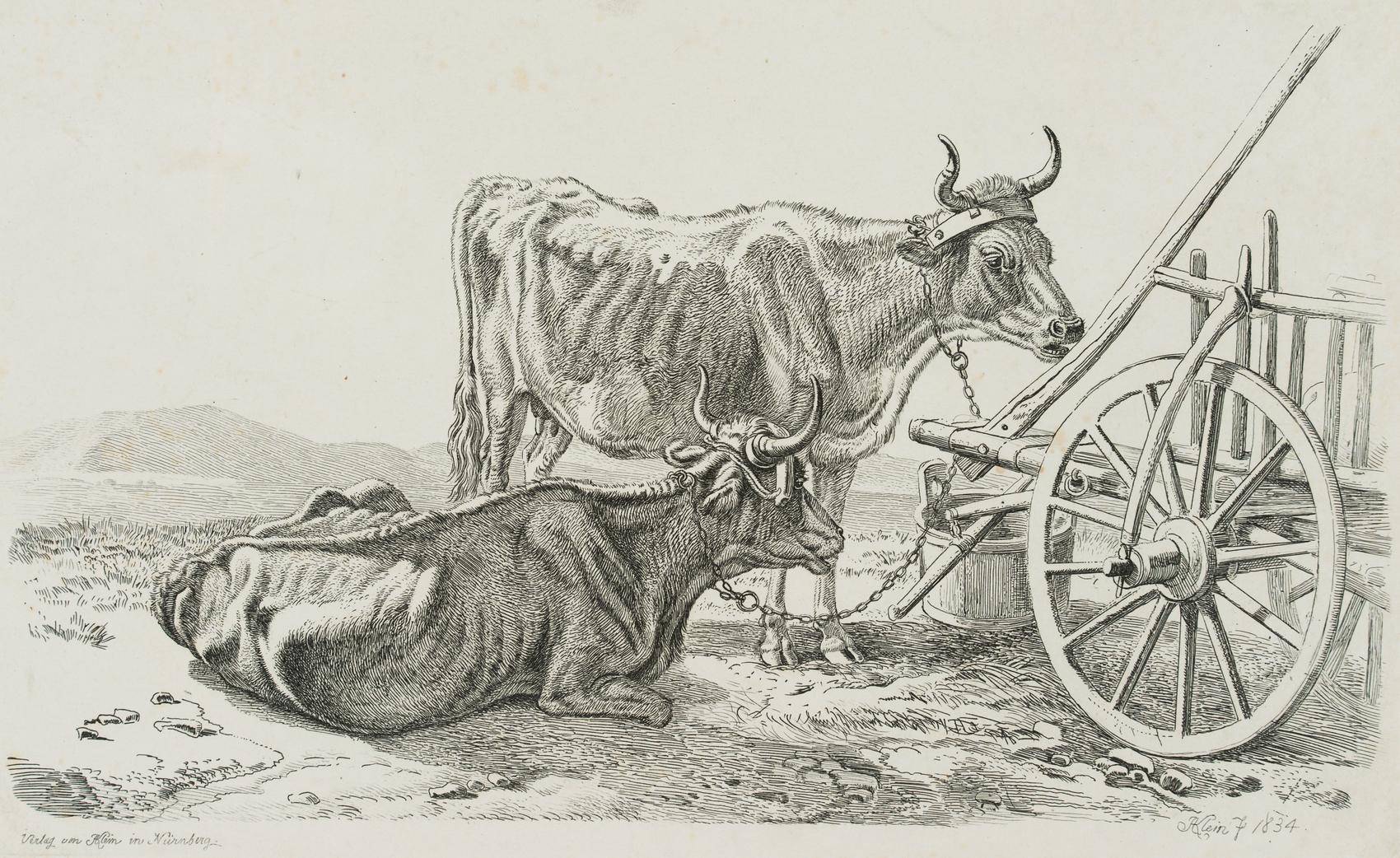 Die beiden Kühe am Wagen