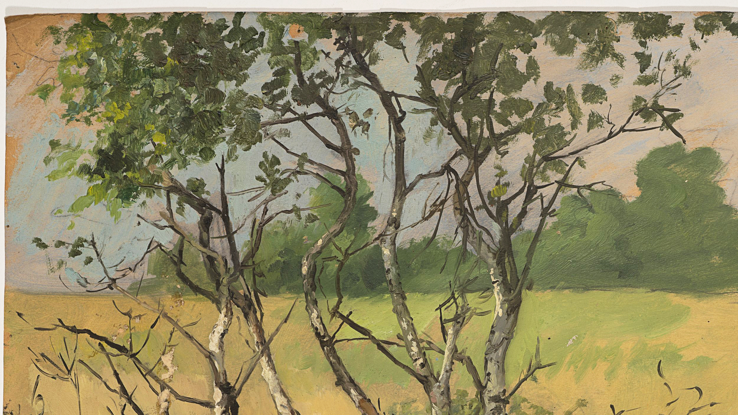 Baumgruppe in sommerlicher Landschaft