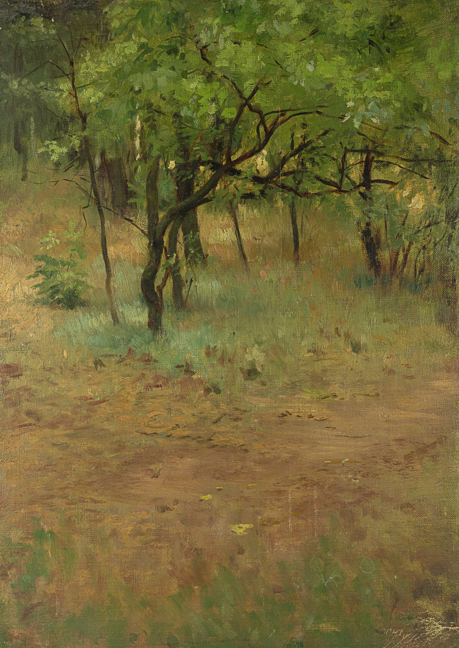 Waldlichtung im Sommer