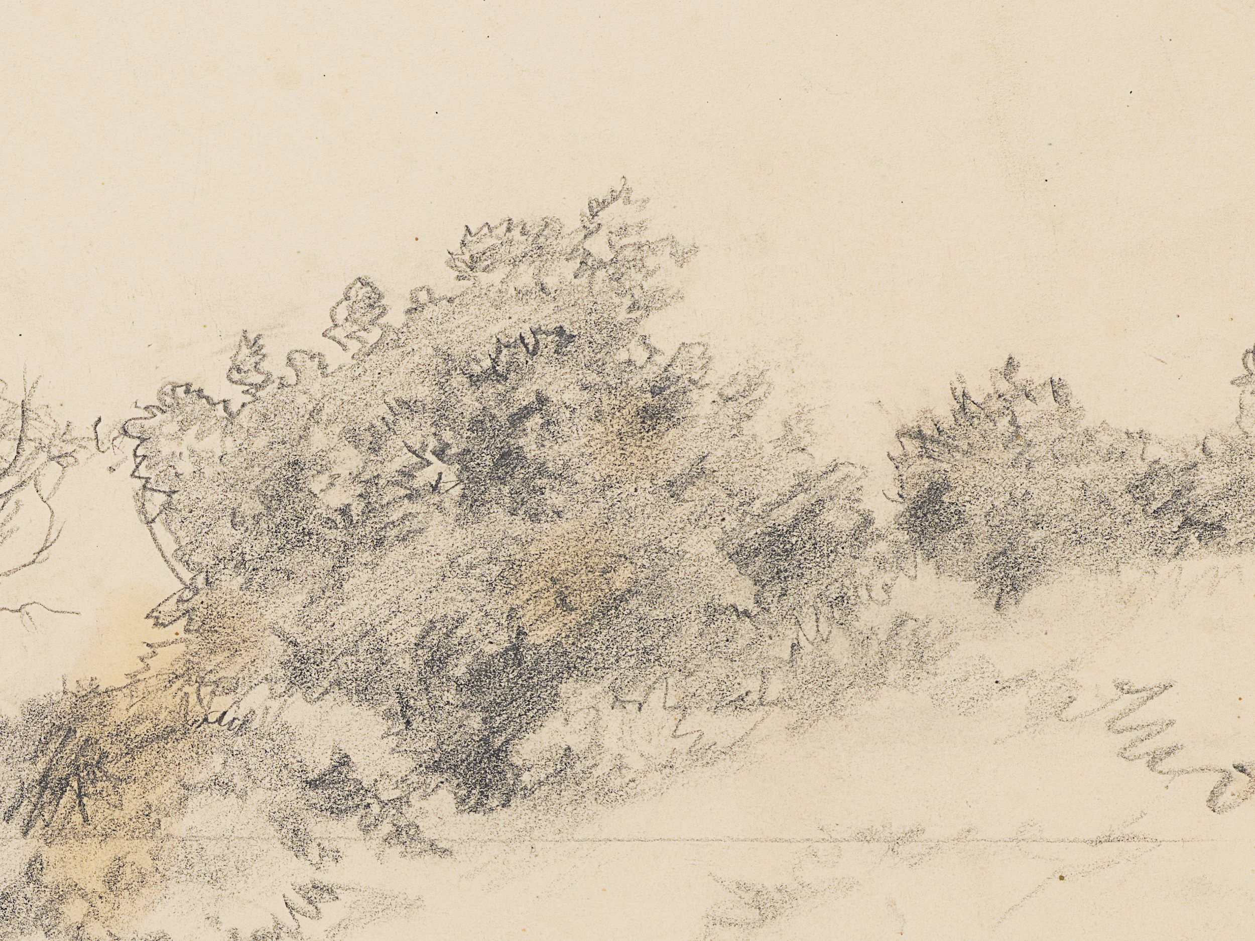 Studie bewachsener Dünen mit Blick auf Meer