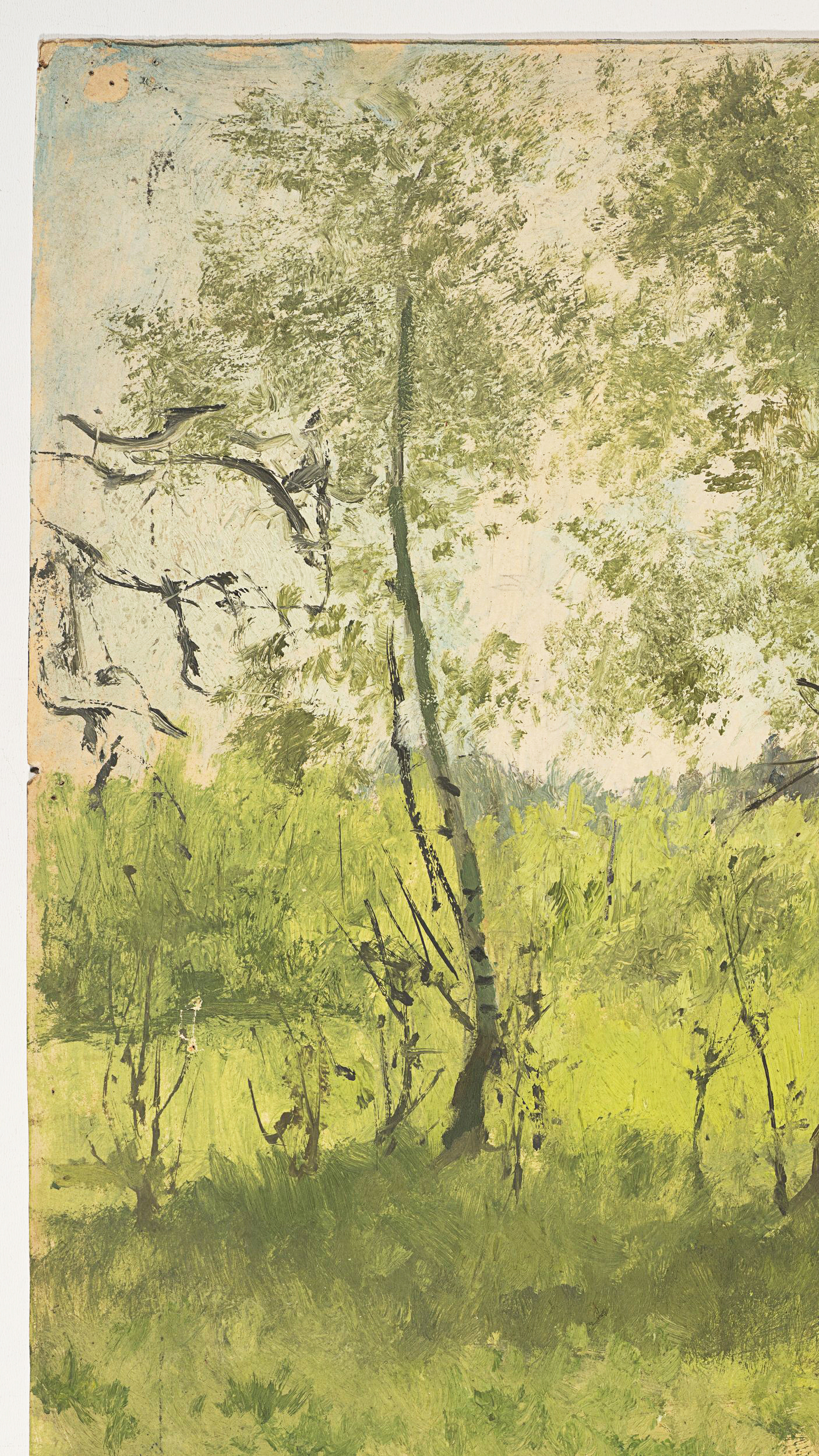 Baumlandschaft im Frühling