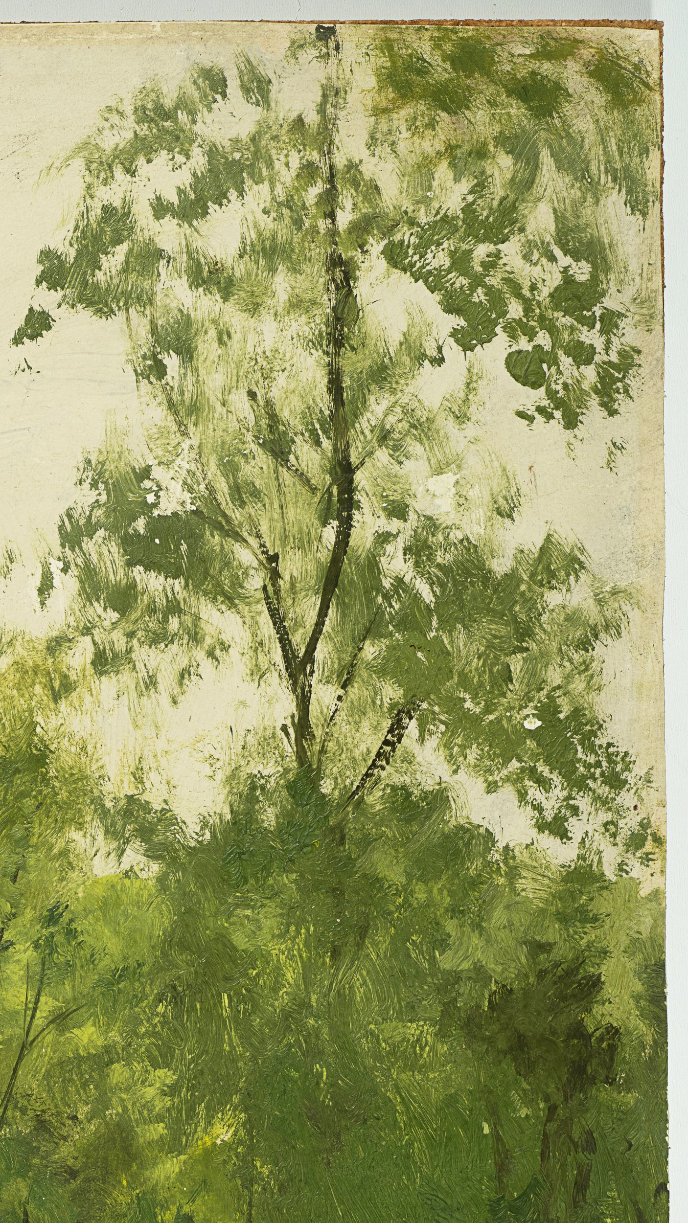 Waldlichtung im Sommer