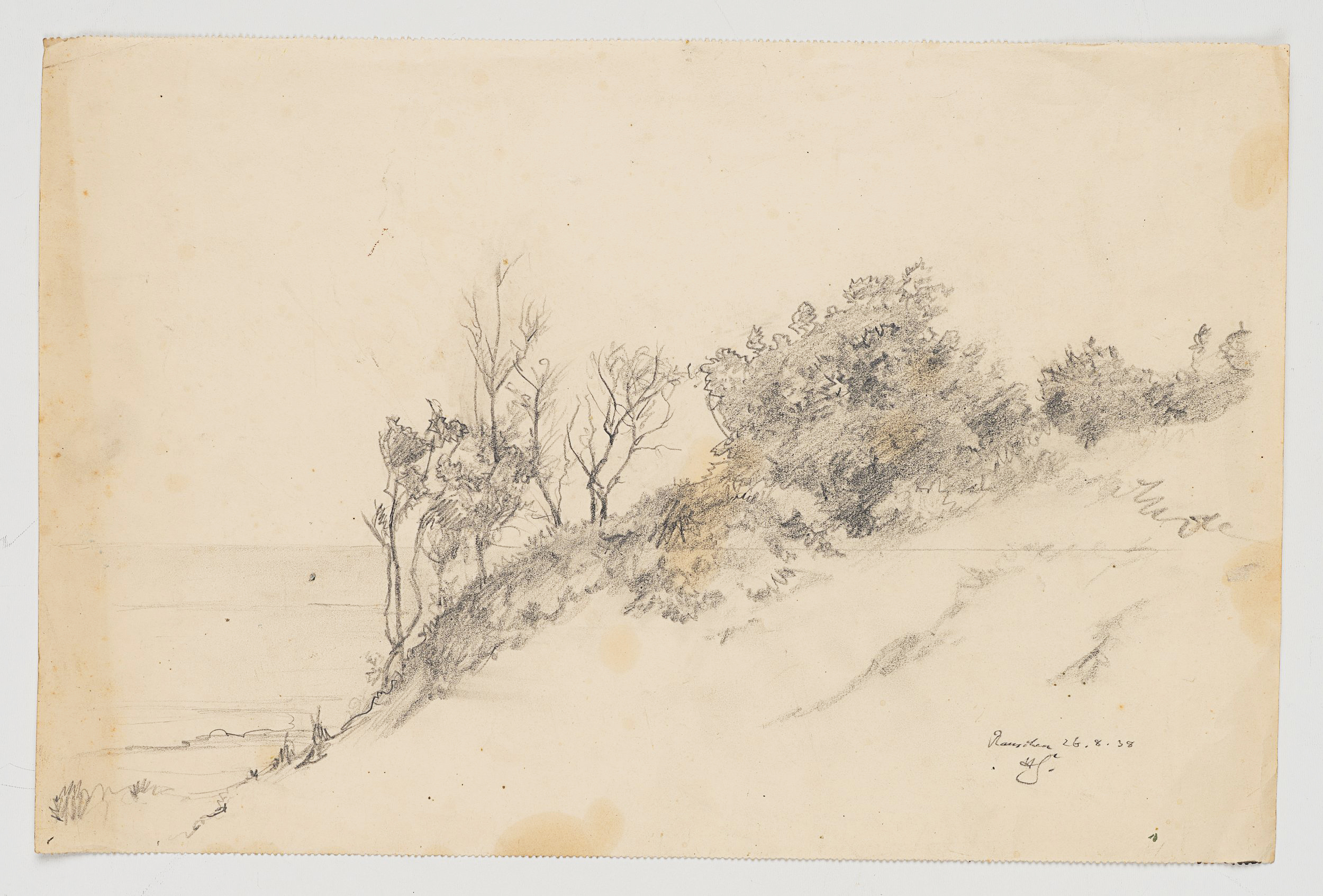Studie bewachsener Dünen mit Blick auf Meer