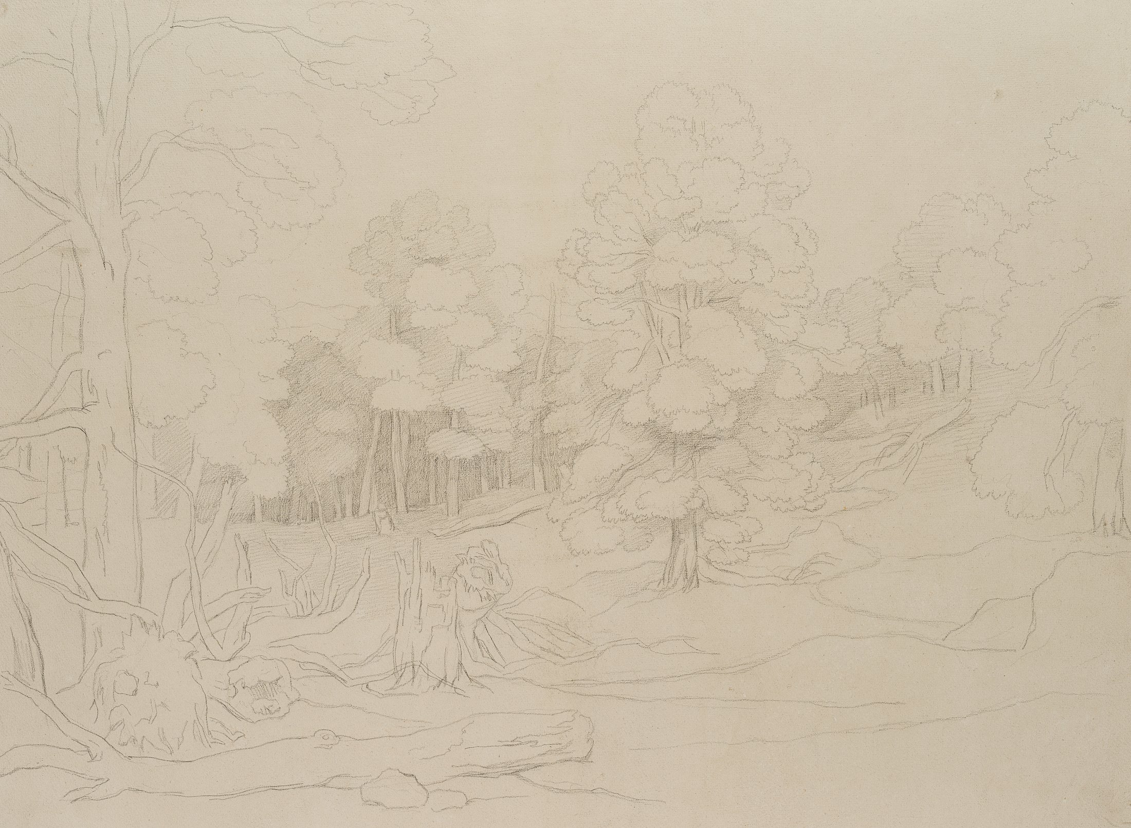 Studie einer Baumgruppe mit Fernblick aus dem Chigi-Park in Ariccia