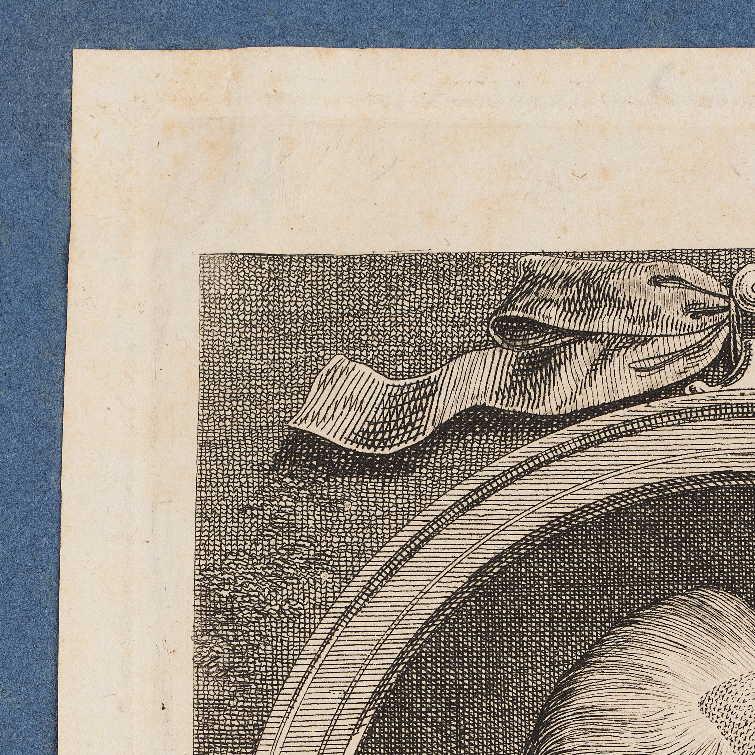 Porträt von Johann Albrecht Philippi