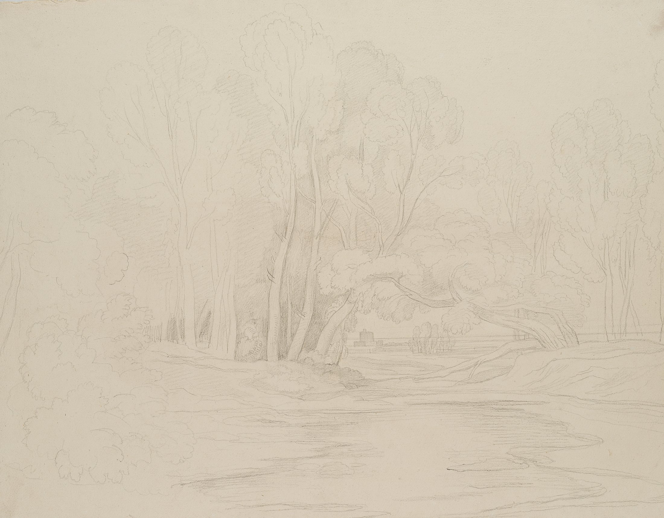 Studie einer Baumgruppe mit Fernblick aus dem Chigi-Park in Ariccia