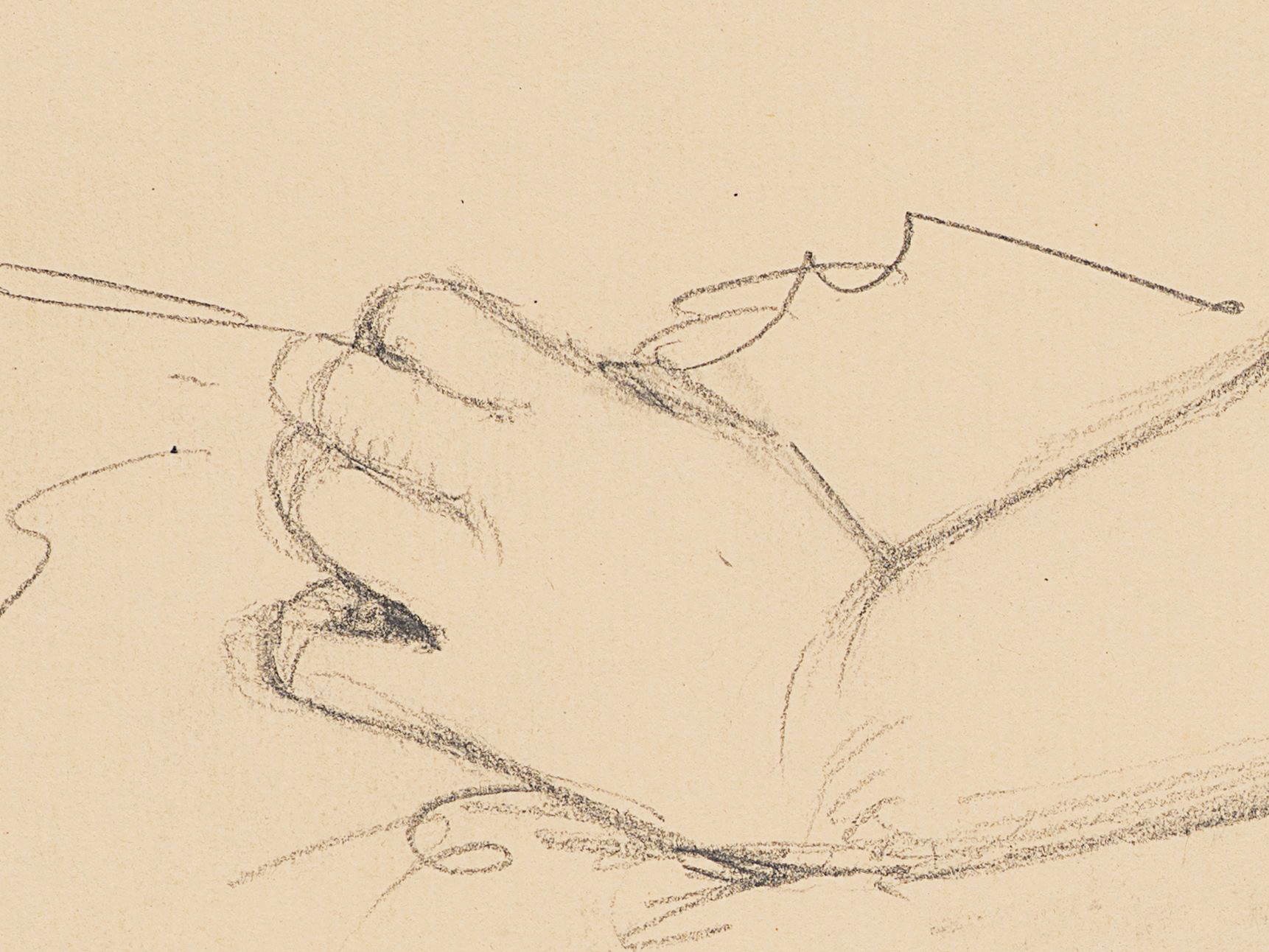 Zwei Handstudien, Arm und lockere Hand