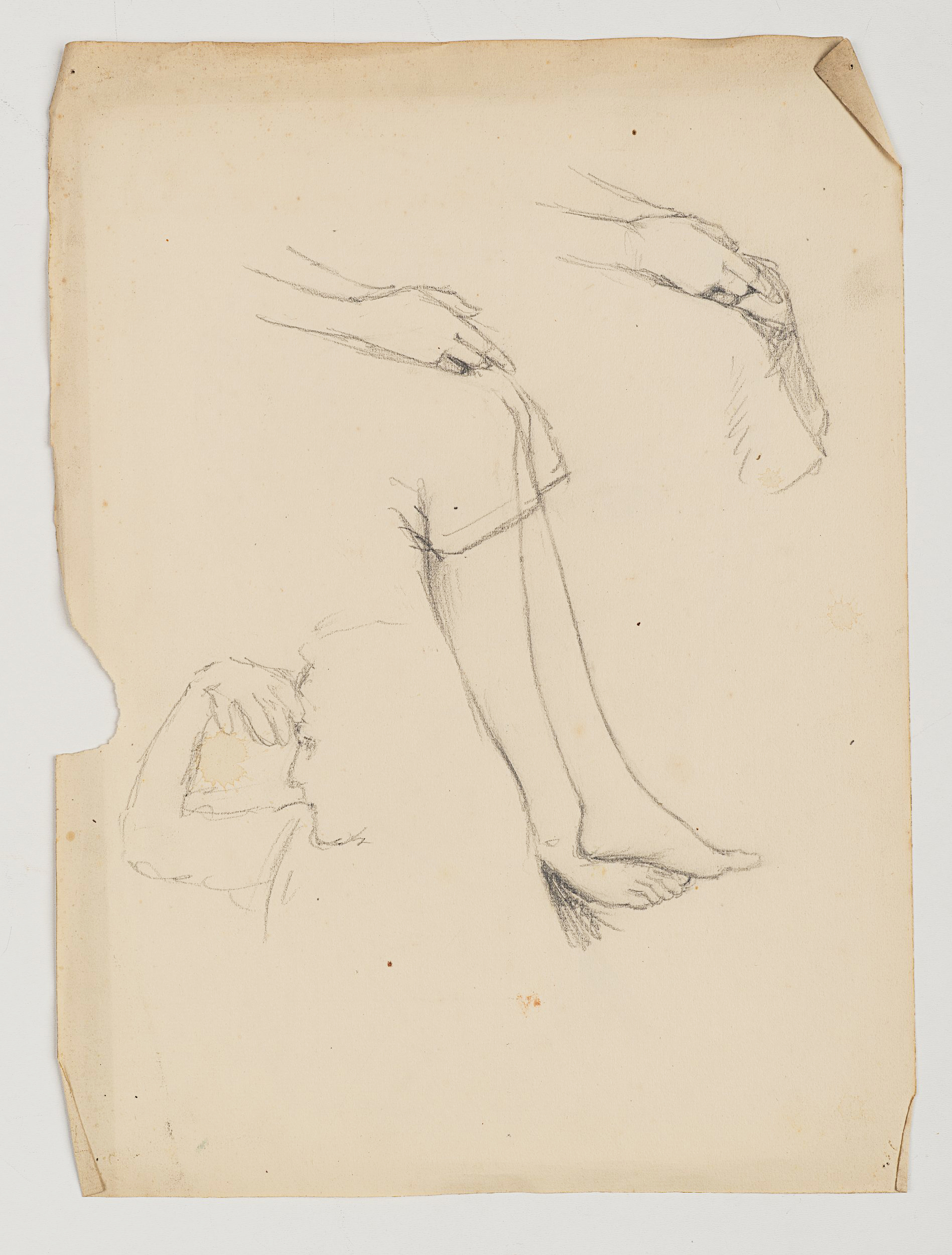Weibliches Porträt, Studie