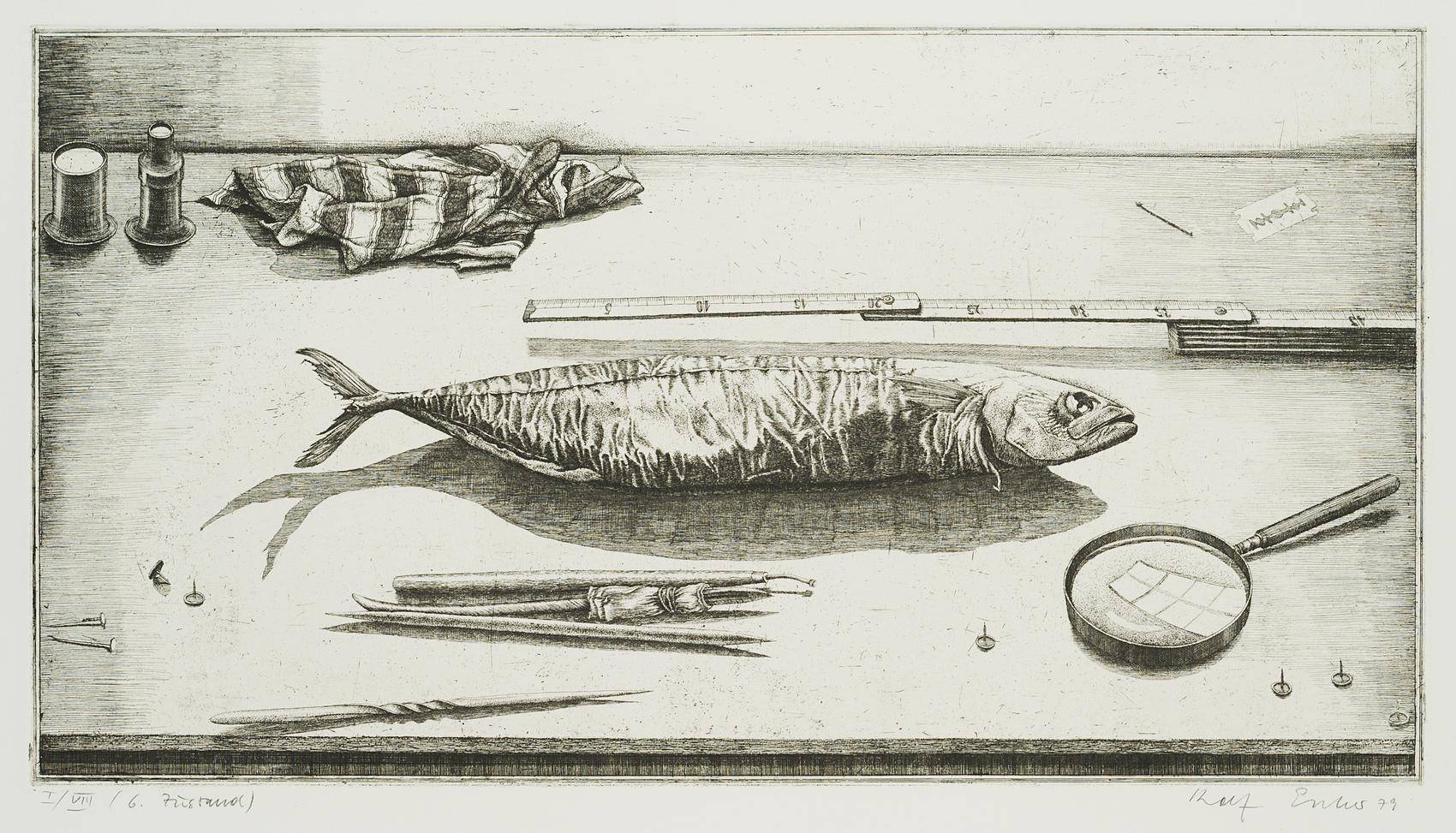 Radierfisch, 6. Zustand