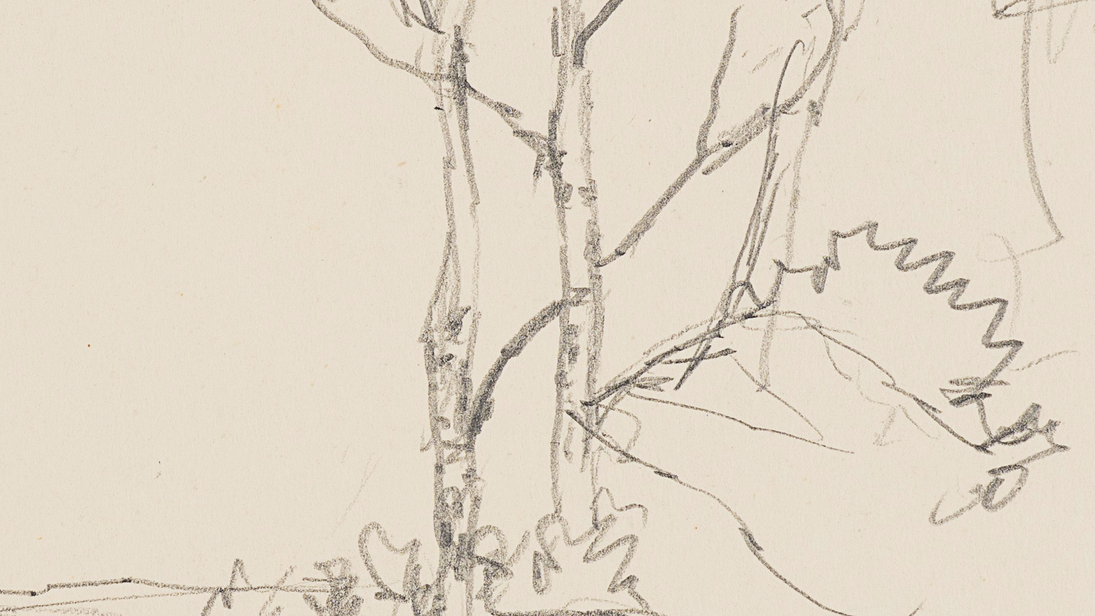 Baumgruppe auf Felsvorsprung. Küstenlandschaft
