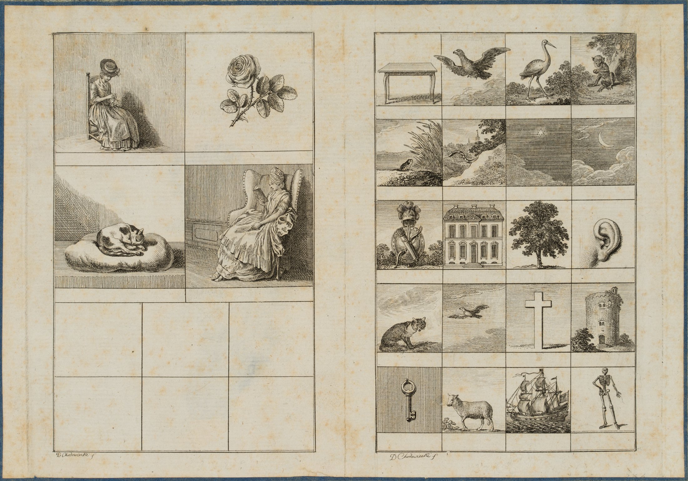 Illustration lateinischer Genera
