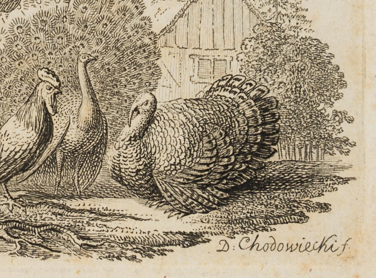 Gruppe von Vogelarten