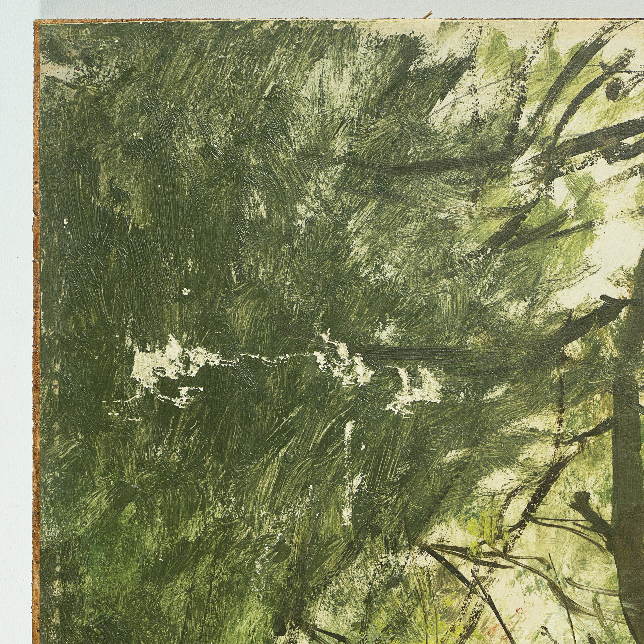 Waldlichtung im Sommer