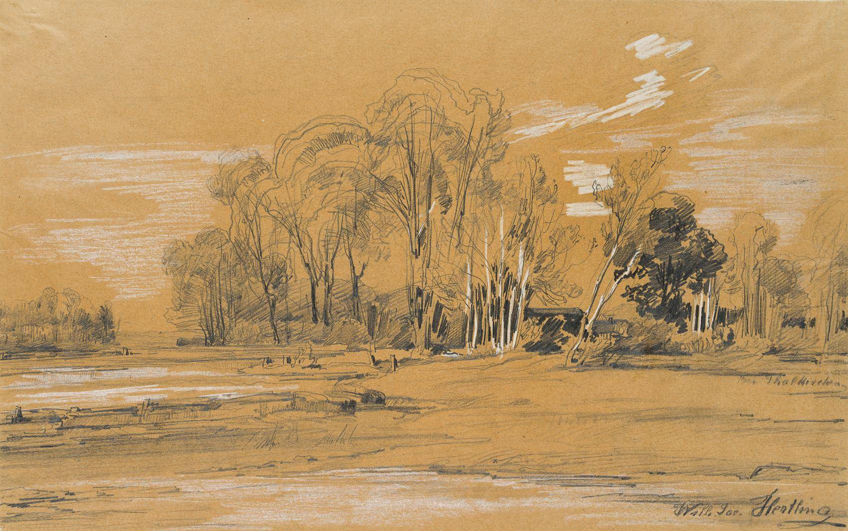 Auwald der Isar bei München-Thalkirchen
