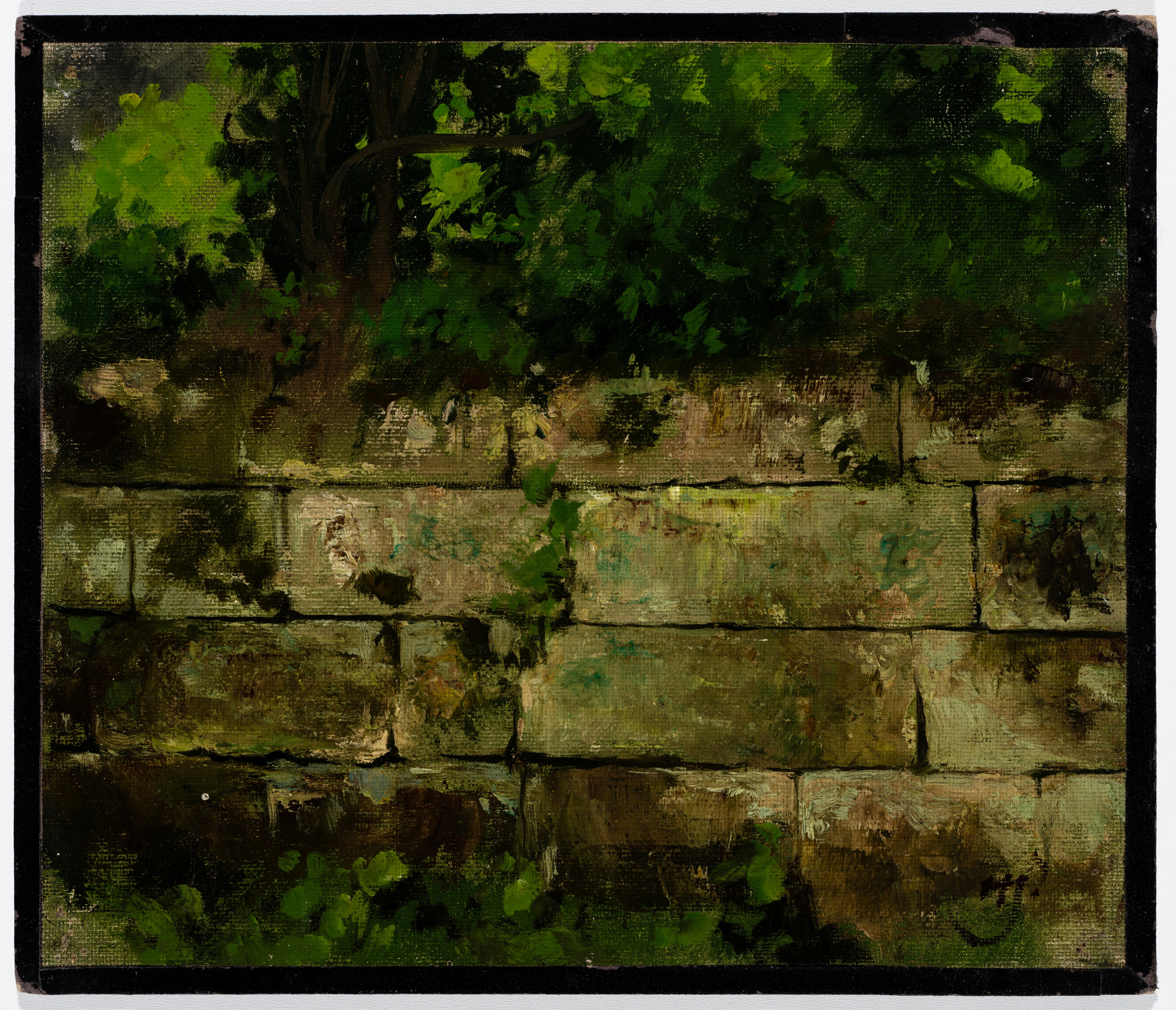 Naturstück. Steinmauer von Gräsern bewachsen