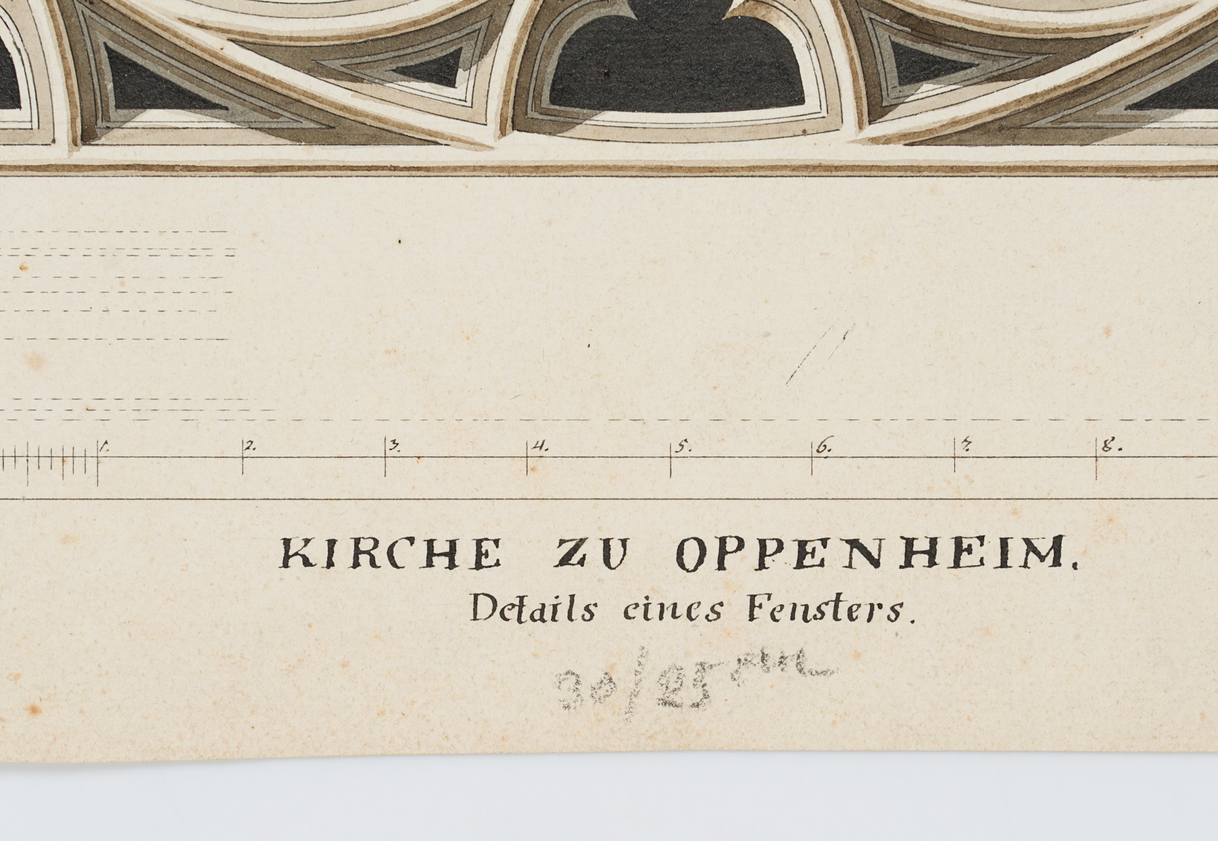 Die Oppenheimer Rose