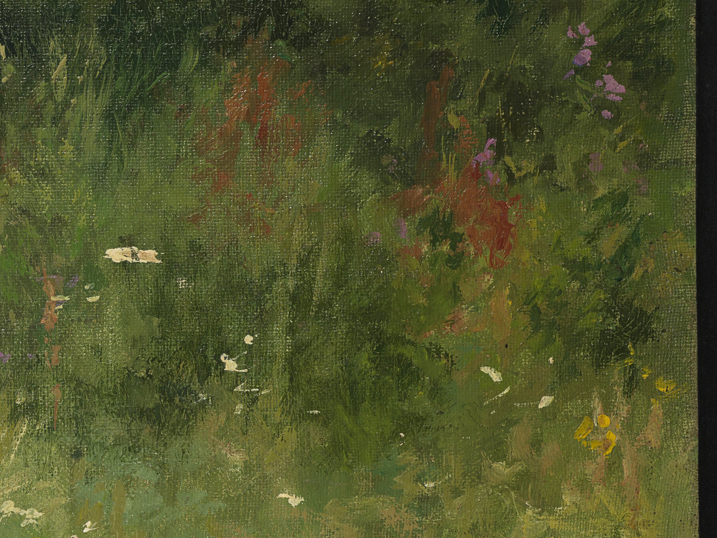 Sommerliche Wildblumenwiese